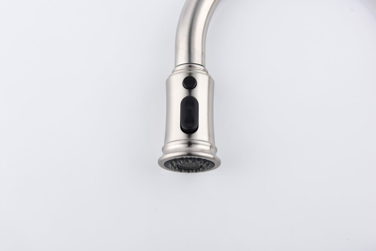 Kitchen Faucet with Pull Down Sprayer