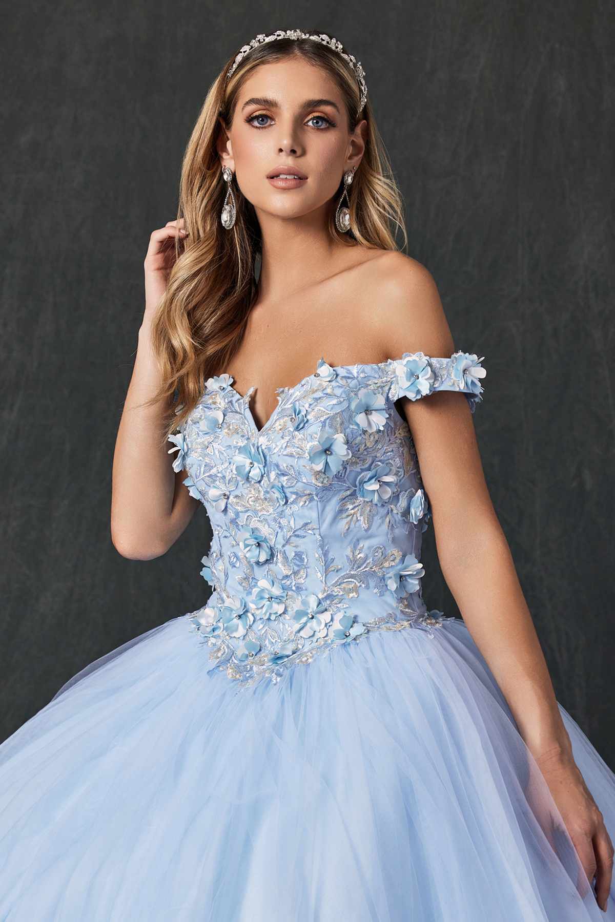 Juliet 1434 Dress Quinceanera Ball Gown 3D Floral Embroidered