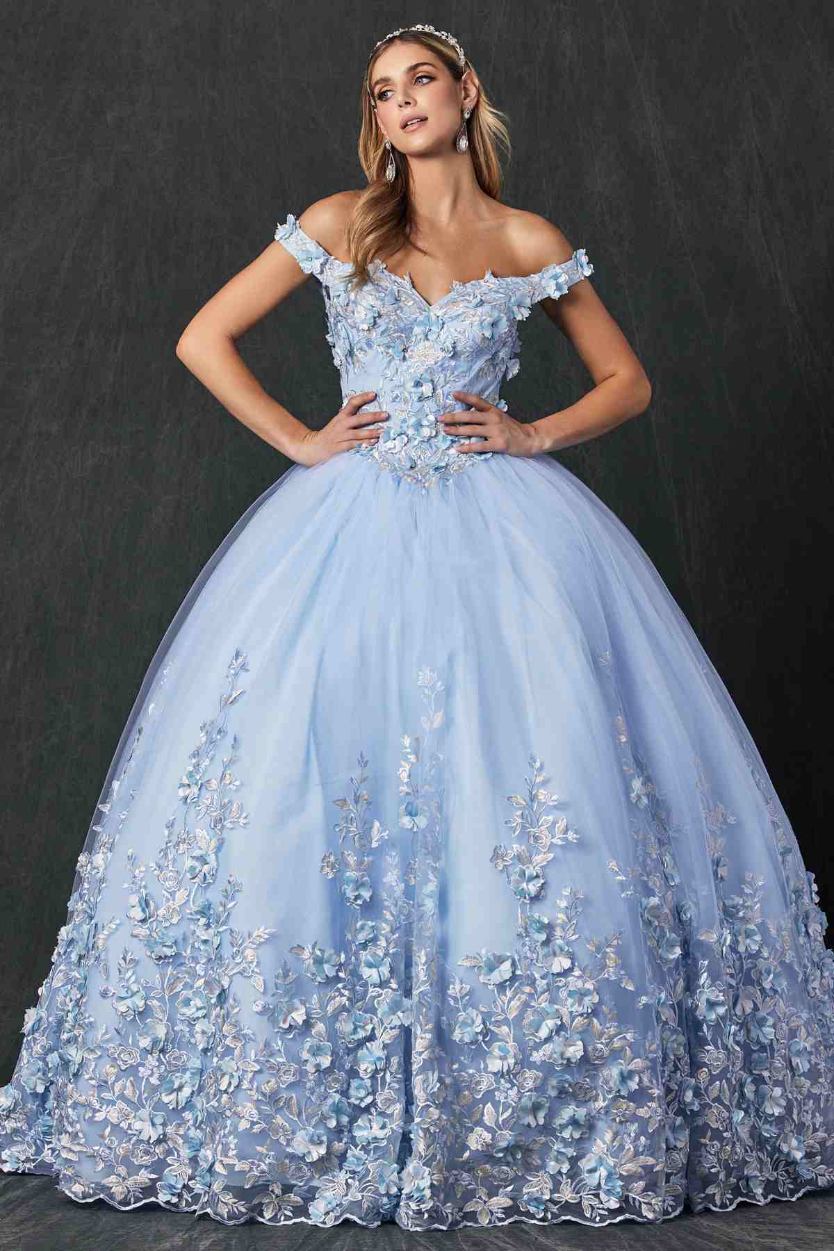 Juliet 1434 Dress Quinceanera Ball Gown 3D Floral Embroidered