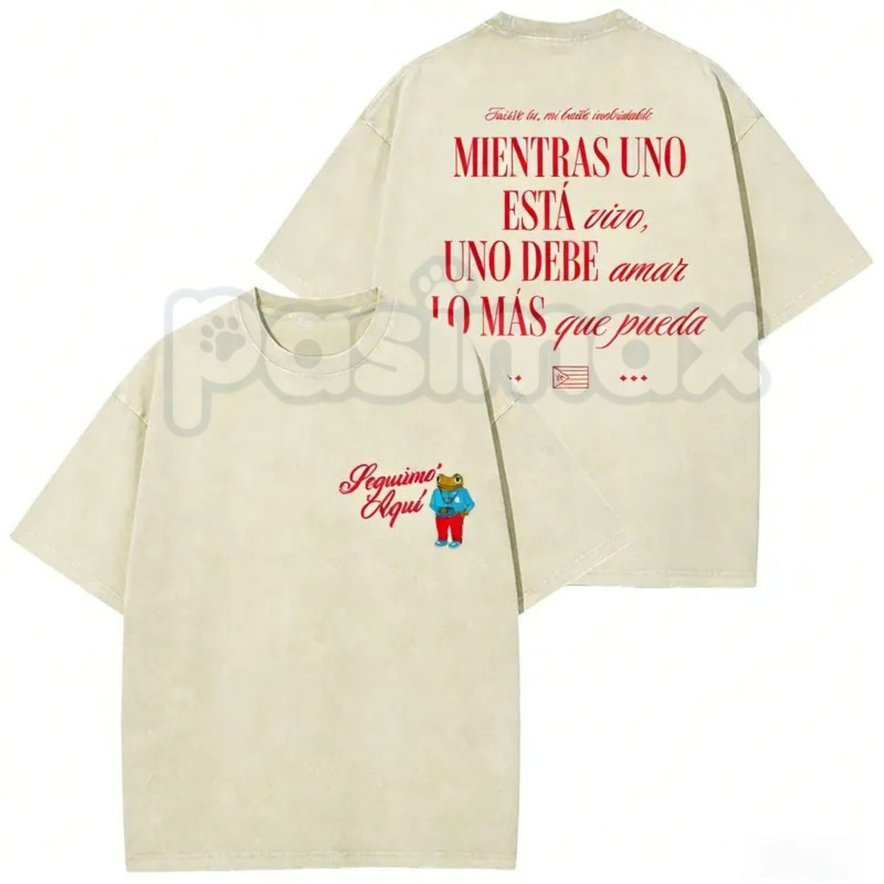 Seguimo Aqui Sapo Concho Washed T-Shirt – Puerto Rican Reggaeton Streetwear, Perreo Babe Graphic Tee