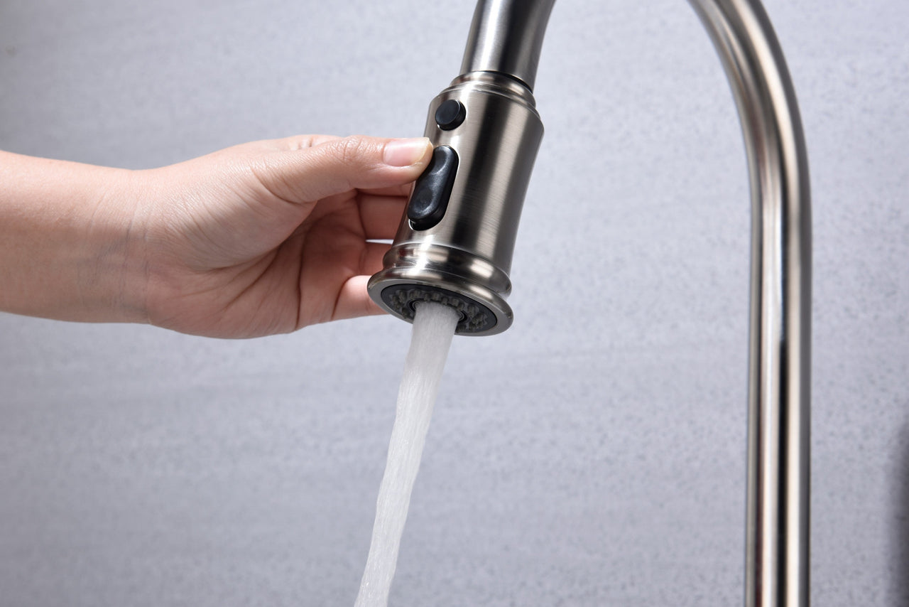 Kitchen Faucet with Pull Down Sprayer