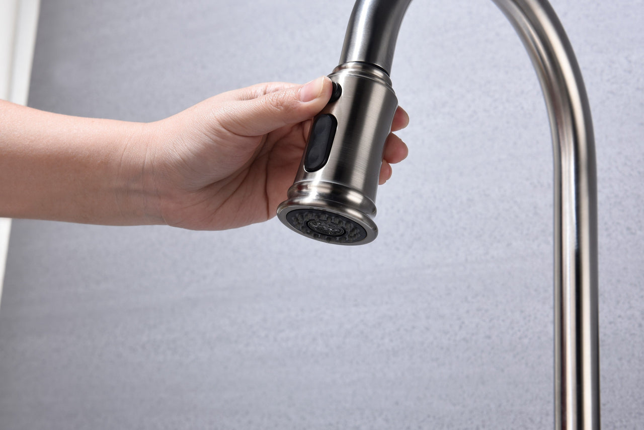 Kitchen Faucet with Pull Down Sprayer