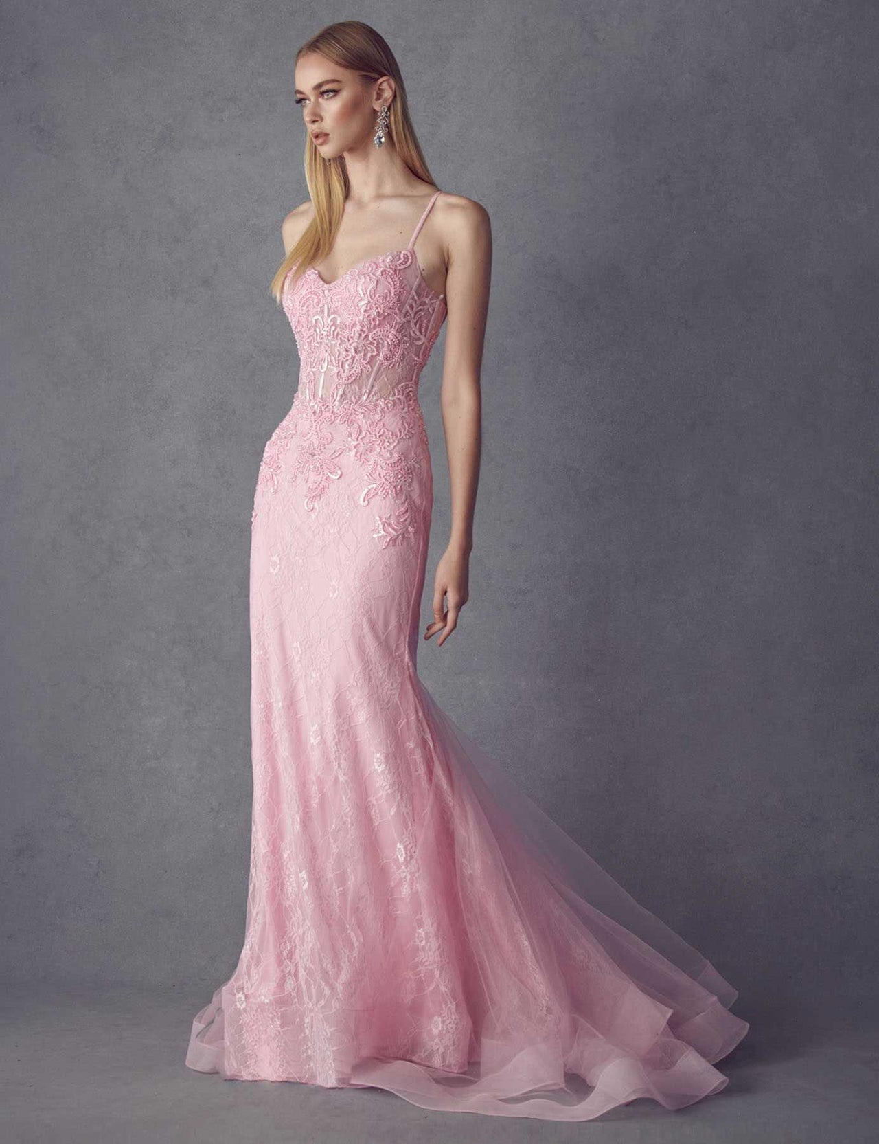 Juliet 250 Embellished Lace Mermaid Dress