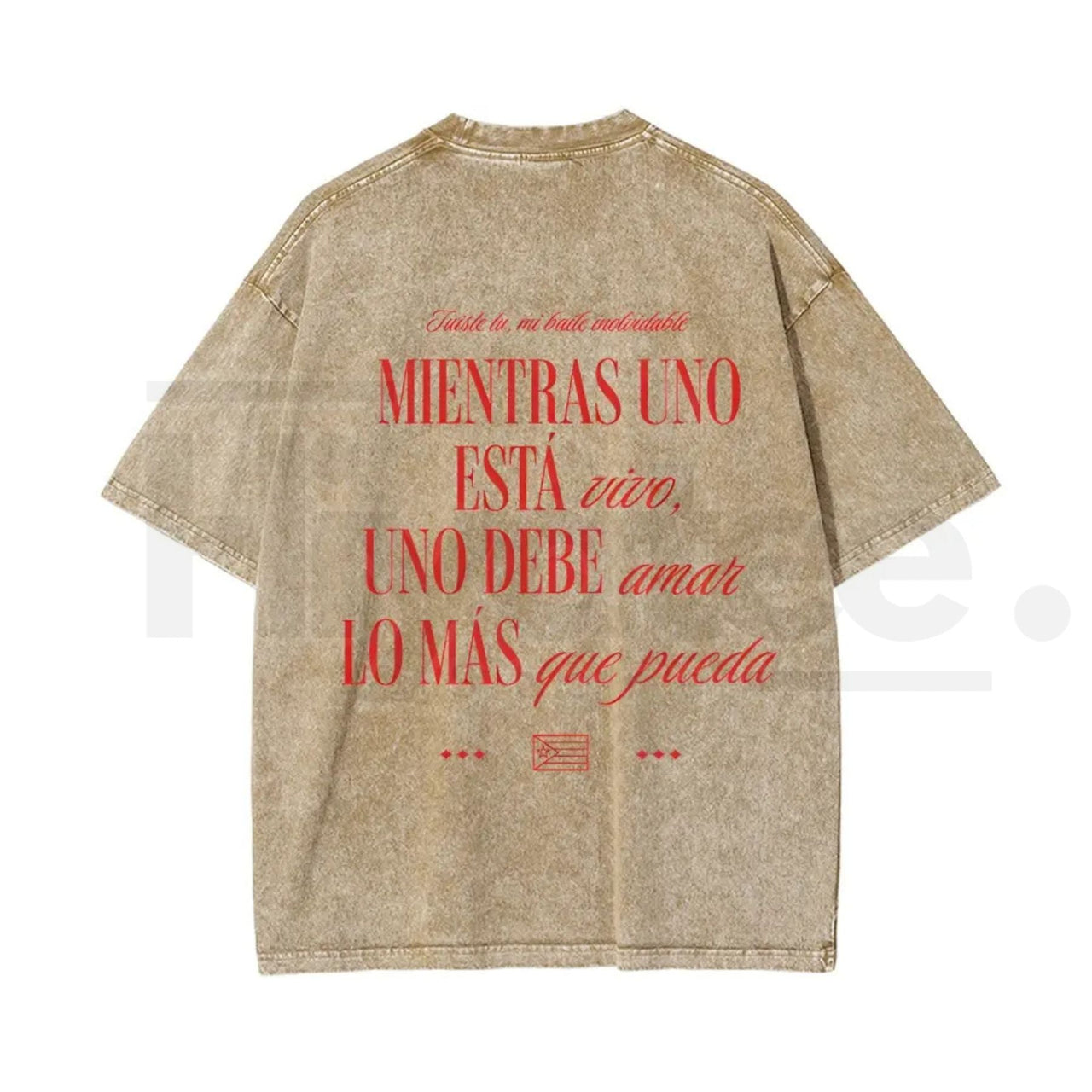 Seguimo Aqui Sapo Concho Vintage Washed Tee – DTMF Inspired Puerto Rican Reggaeton Streetwear