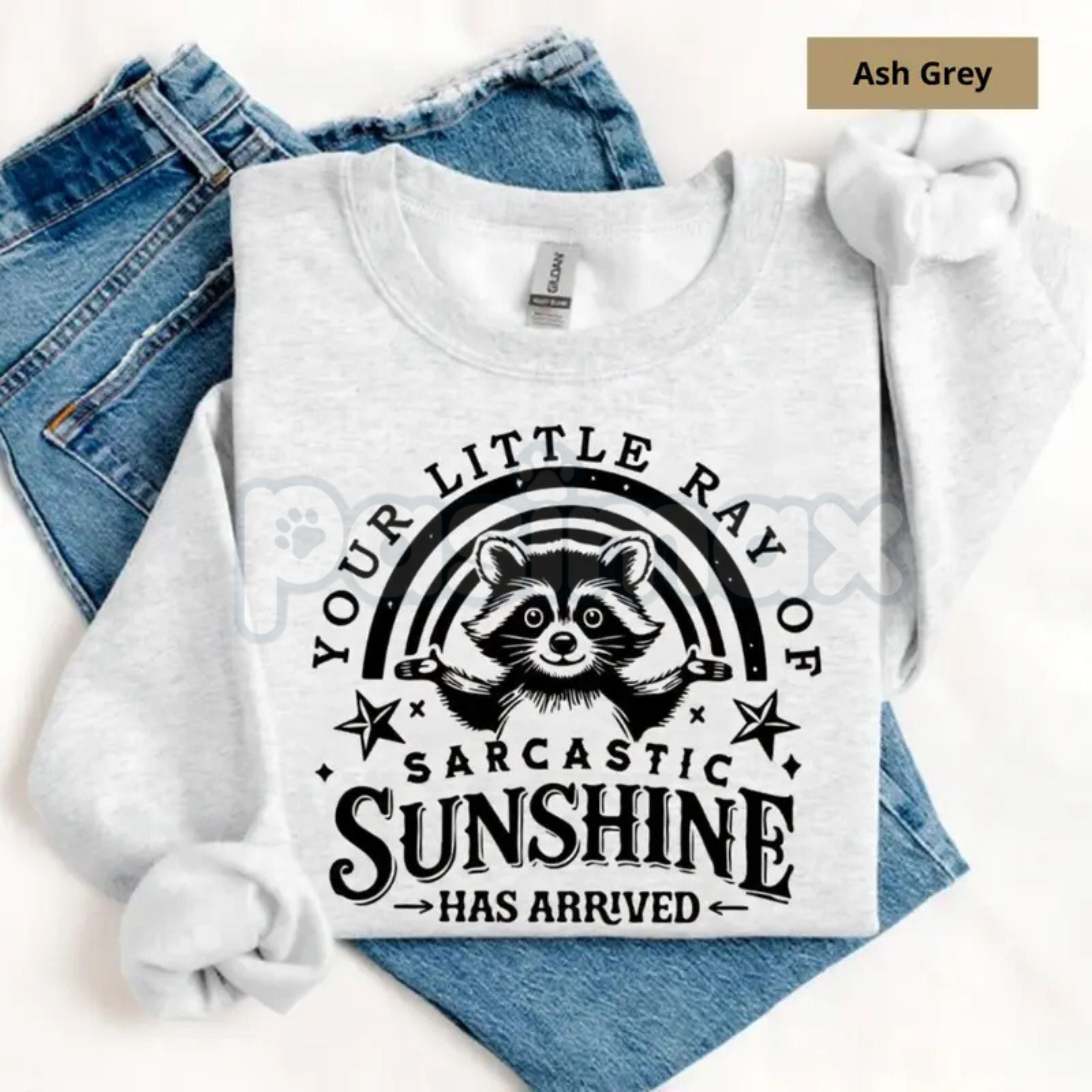 Your Little Ray Of Sarcastic Sunshine Sweatshirt | Funny Sassy Quote Crewneck | Retro Sun Graphic Pullover | Witty Sarcastic Shirt for Women | Sassy Aesthetic Jumper | Irony Inspired Streetwear Top