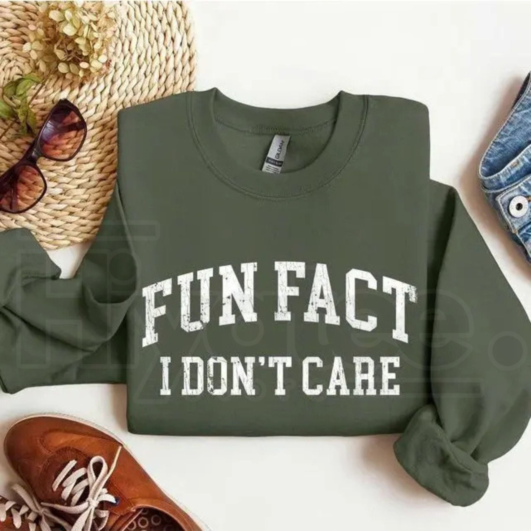 Fun Fact I Don't Care Sweatshirt: Funny Sarcastic College Style Crewneck