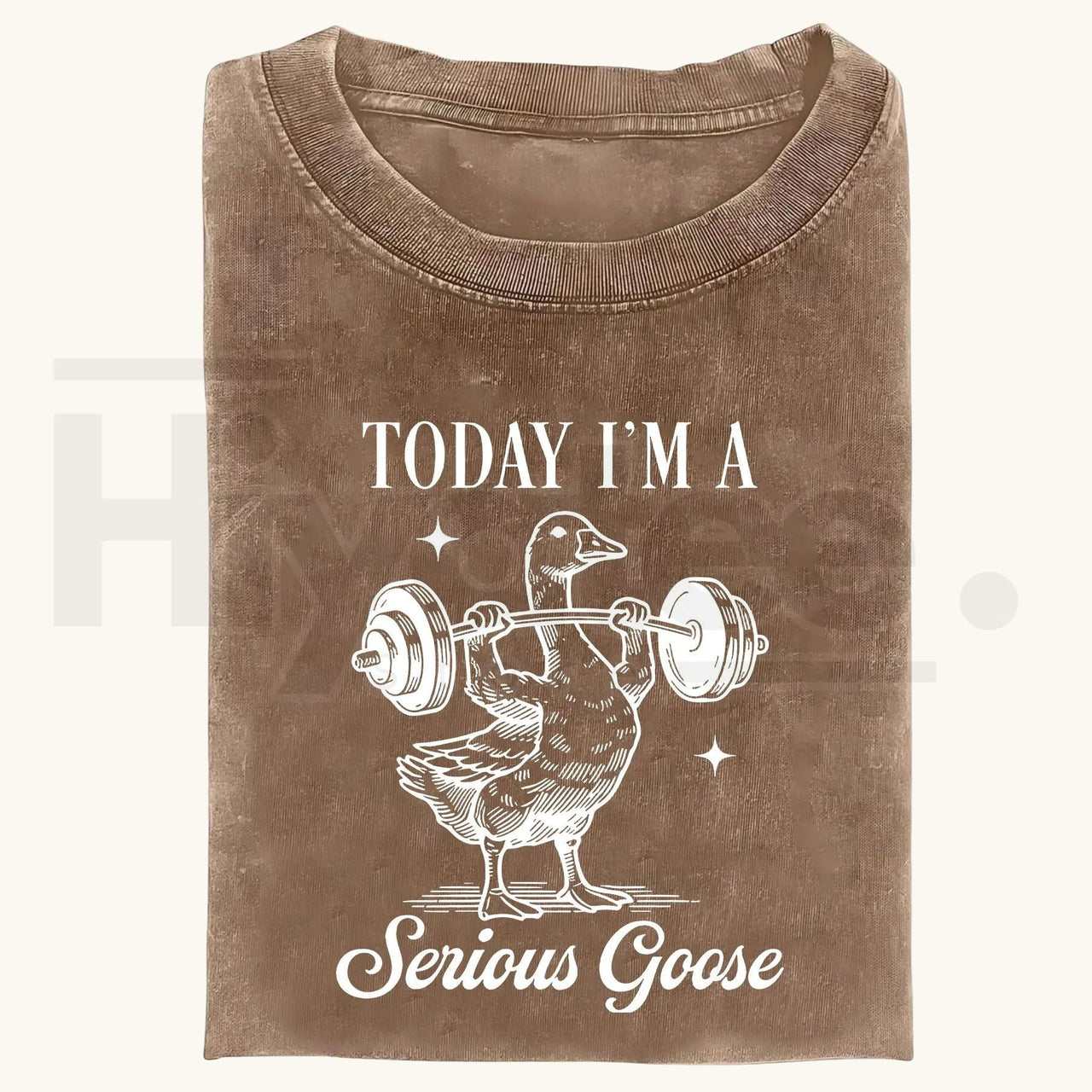 Funny Goose Gym Vintage Washed T-Shirt – Heavyweight 230g Graphic Oversized Tee