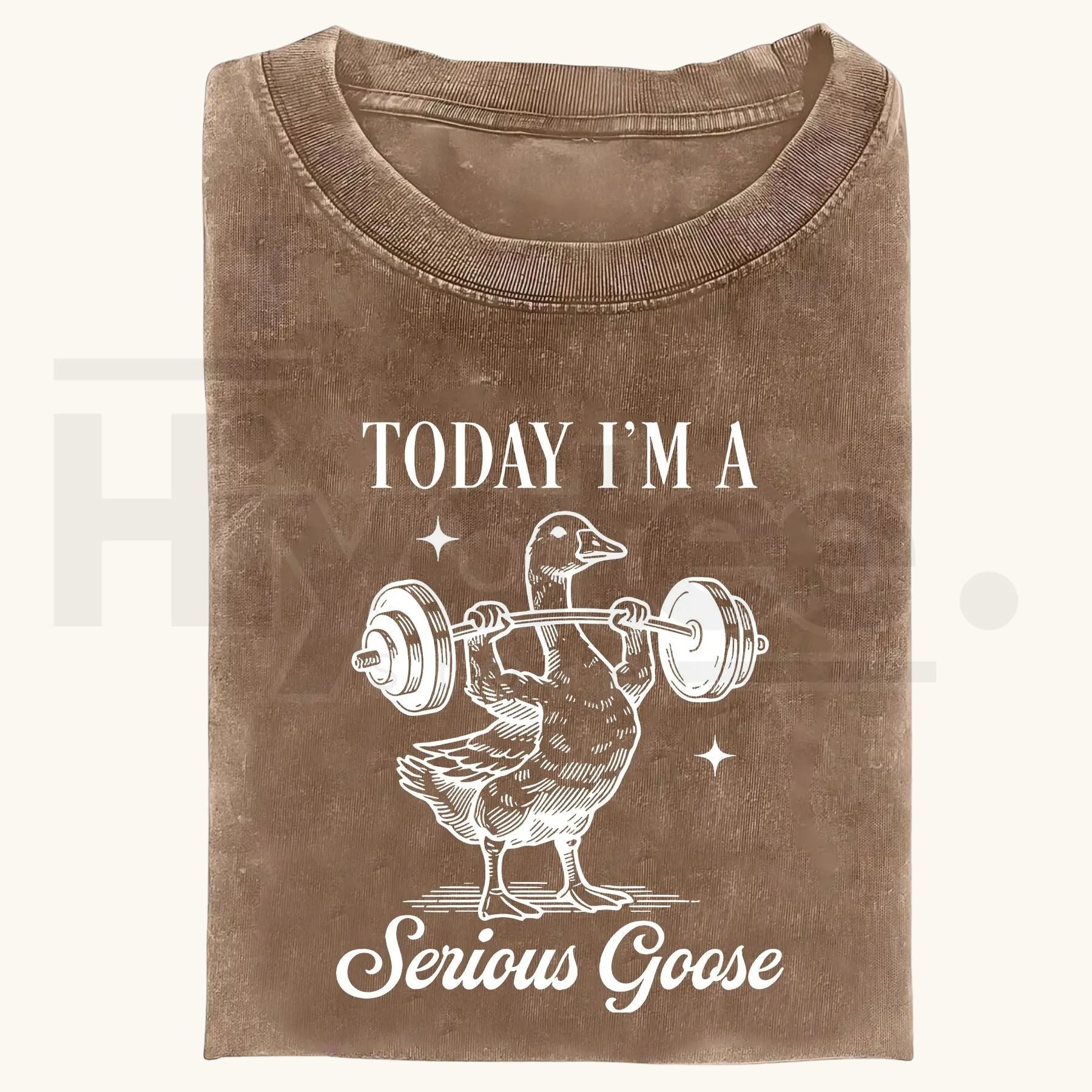 Funny Goose Gym Vintage Washed T-Shirt – Heavyweight 230g Graphic Oversized Tee