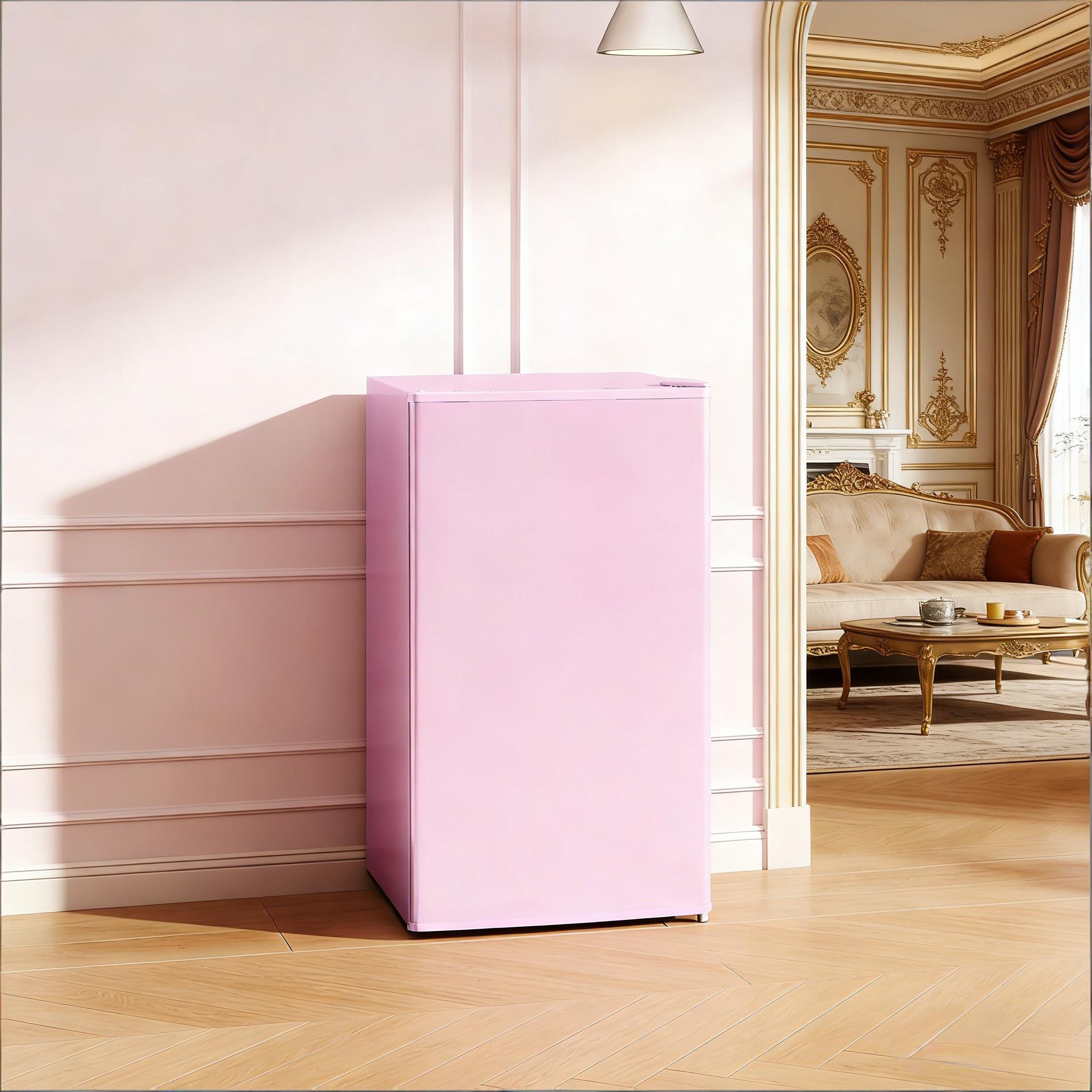 Compact Refrigerator,Mini Fridge
