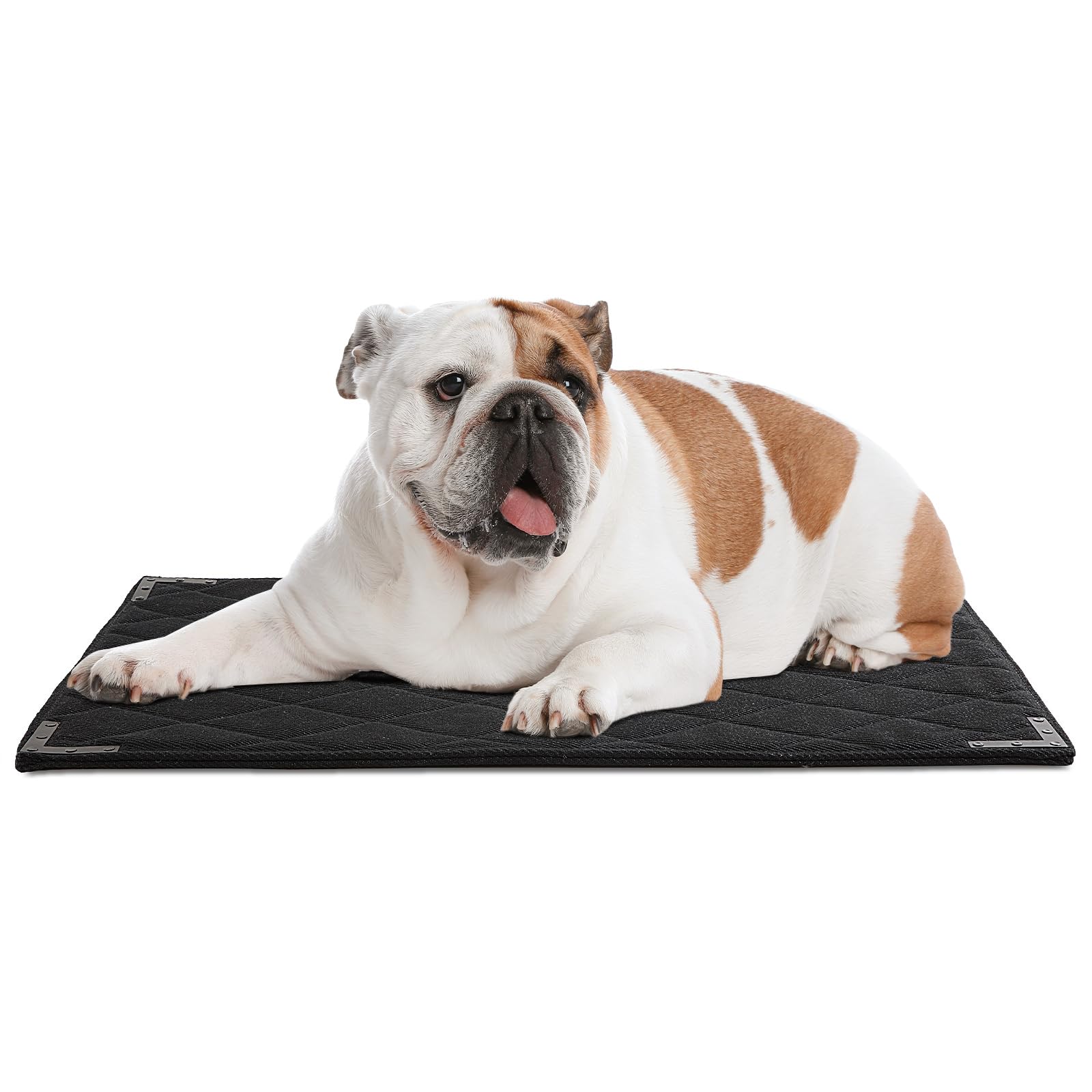 BALAPET XS Durable Chew Proof Dog Bed with Metal Rivet Corner 23