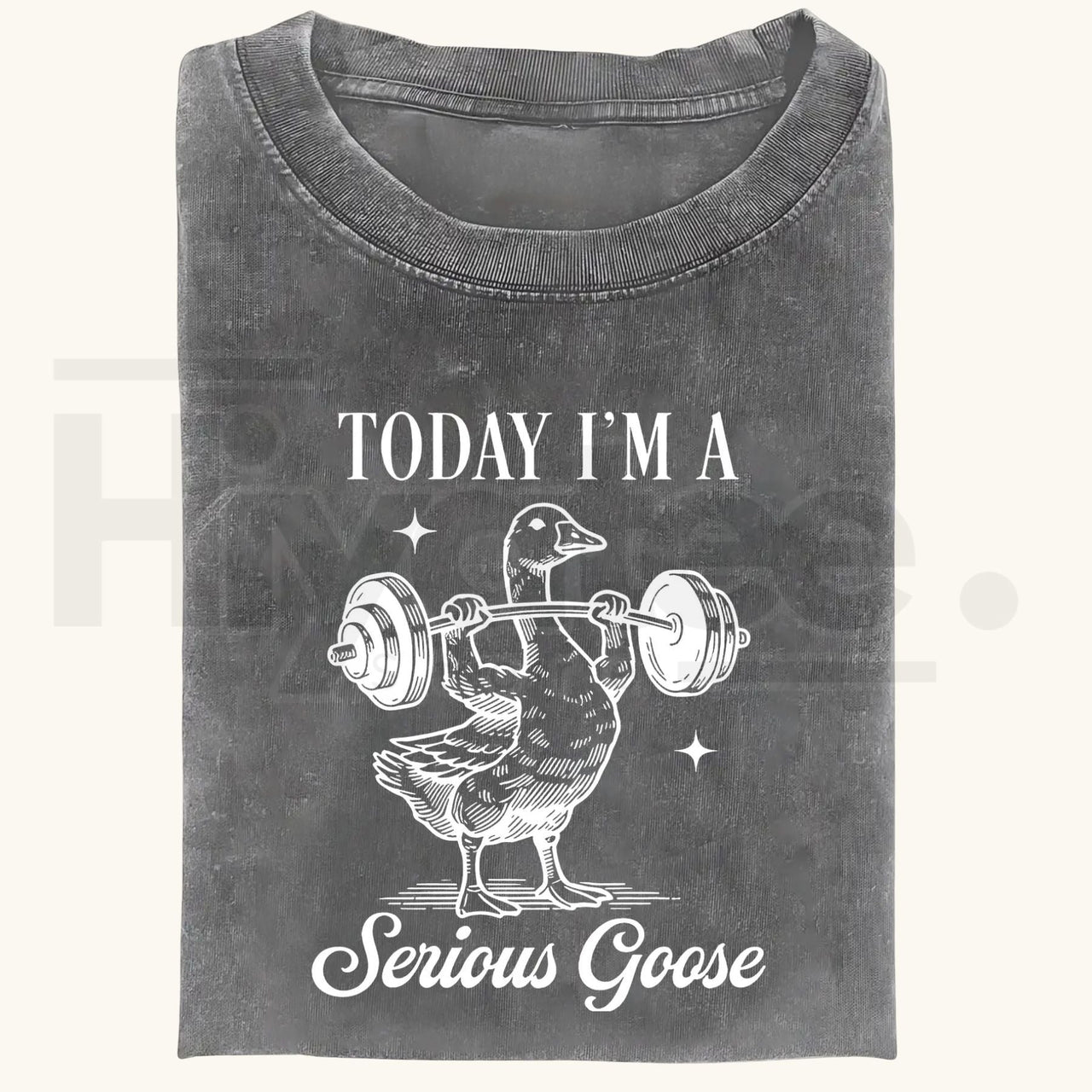 Funny Goose Gym Vintage Washed T-Shirt – Heavyweight 230g Graphic Oversized Tee