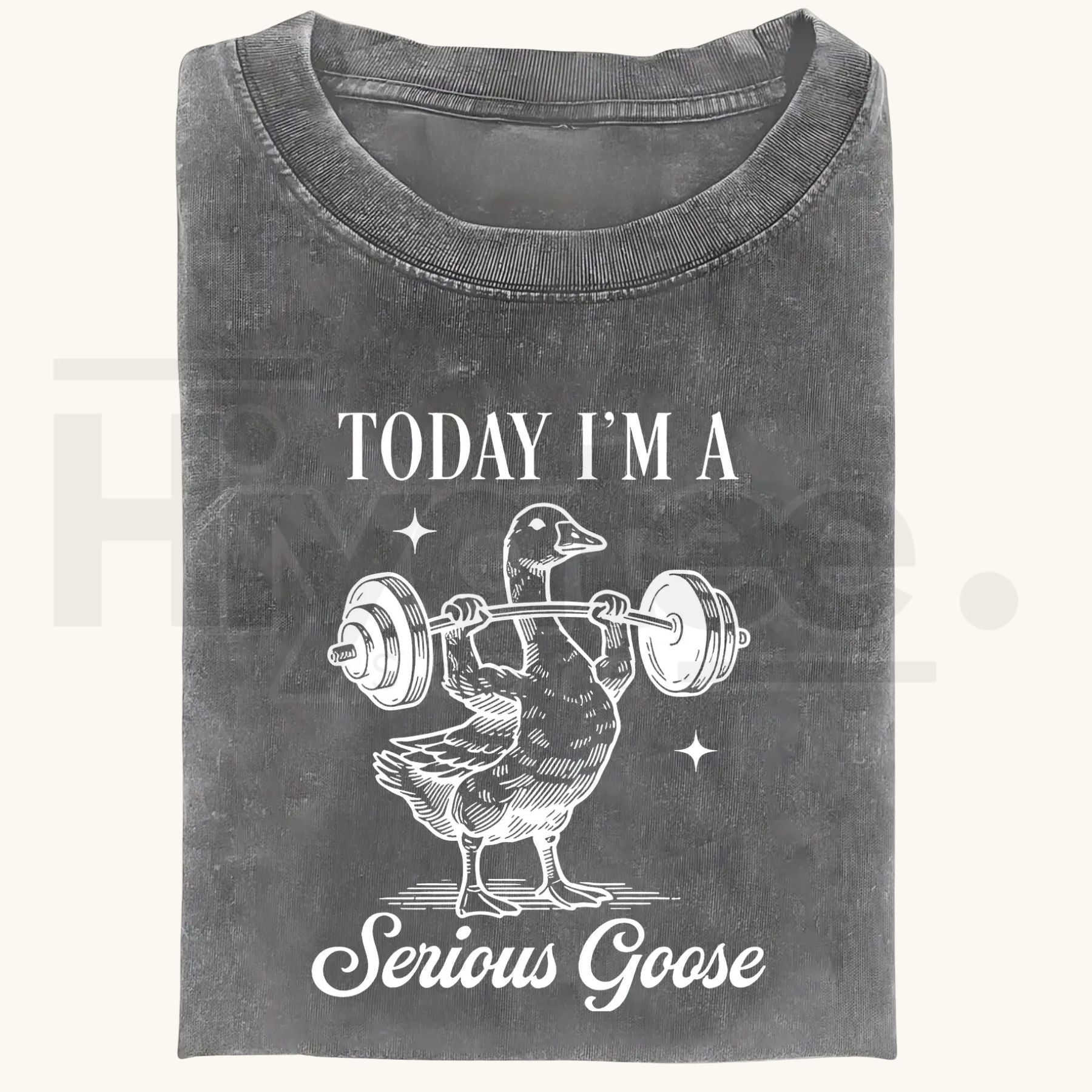 Funny Goose Gym Vintage Washed T-Shirt – Heavyweight 230g Graphic Oversized Tee