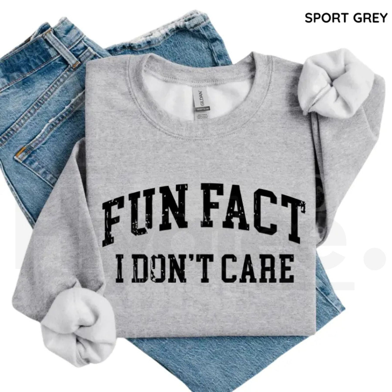 Fun Fact I Don't Care Sweatshirt: Funny Sarcastic College Style Crewneck