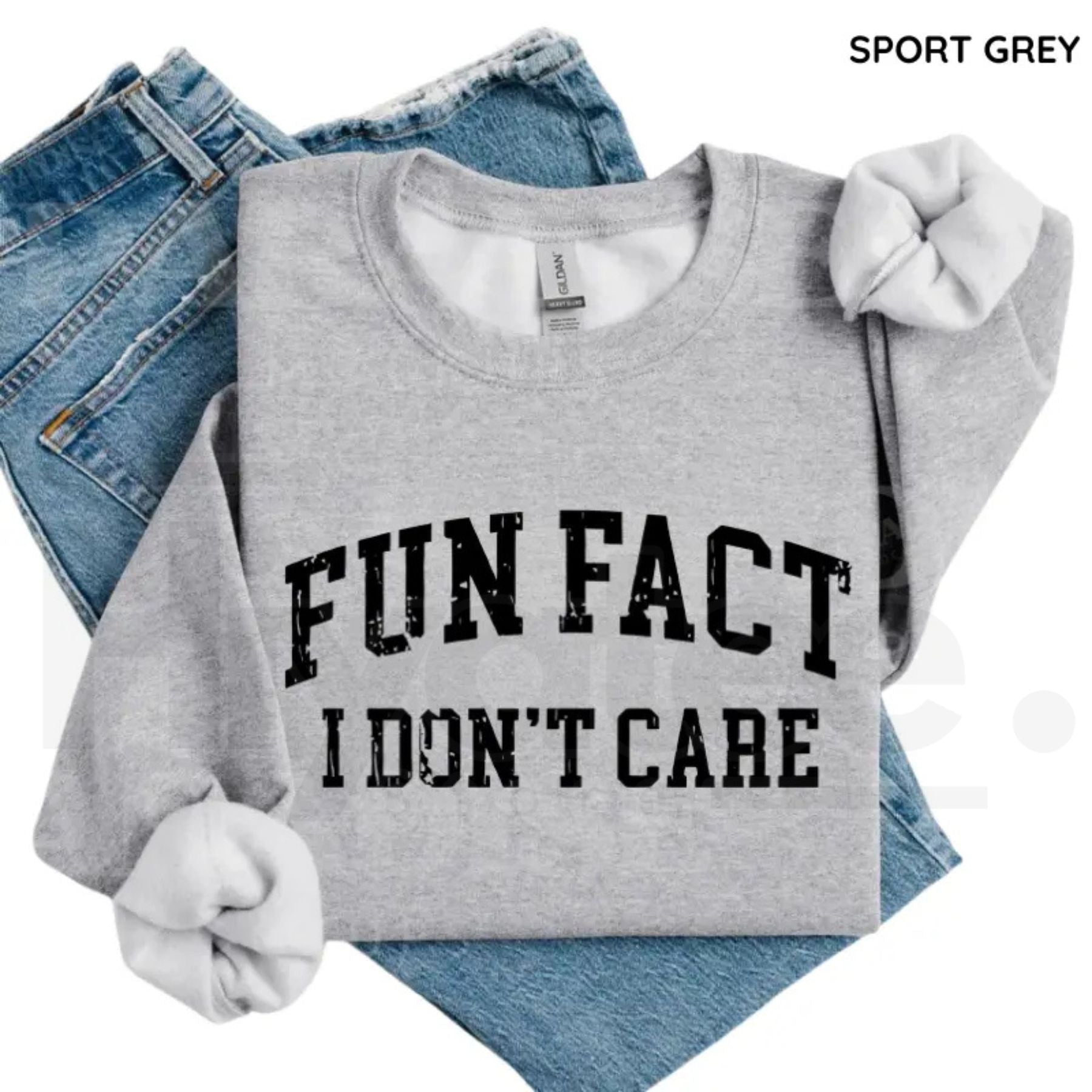 Fun Fact I Don't Care Sweatshirt: Funny Sarcastic College Style Crewneck