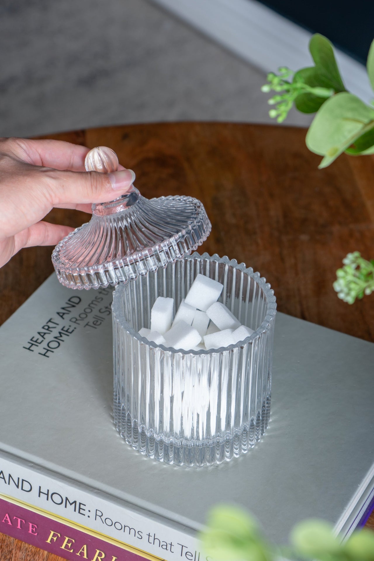 D4x6'Ancell Lidded Glass Jar