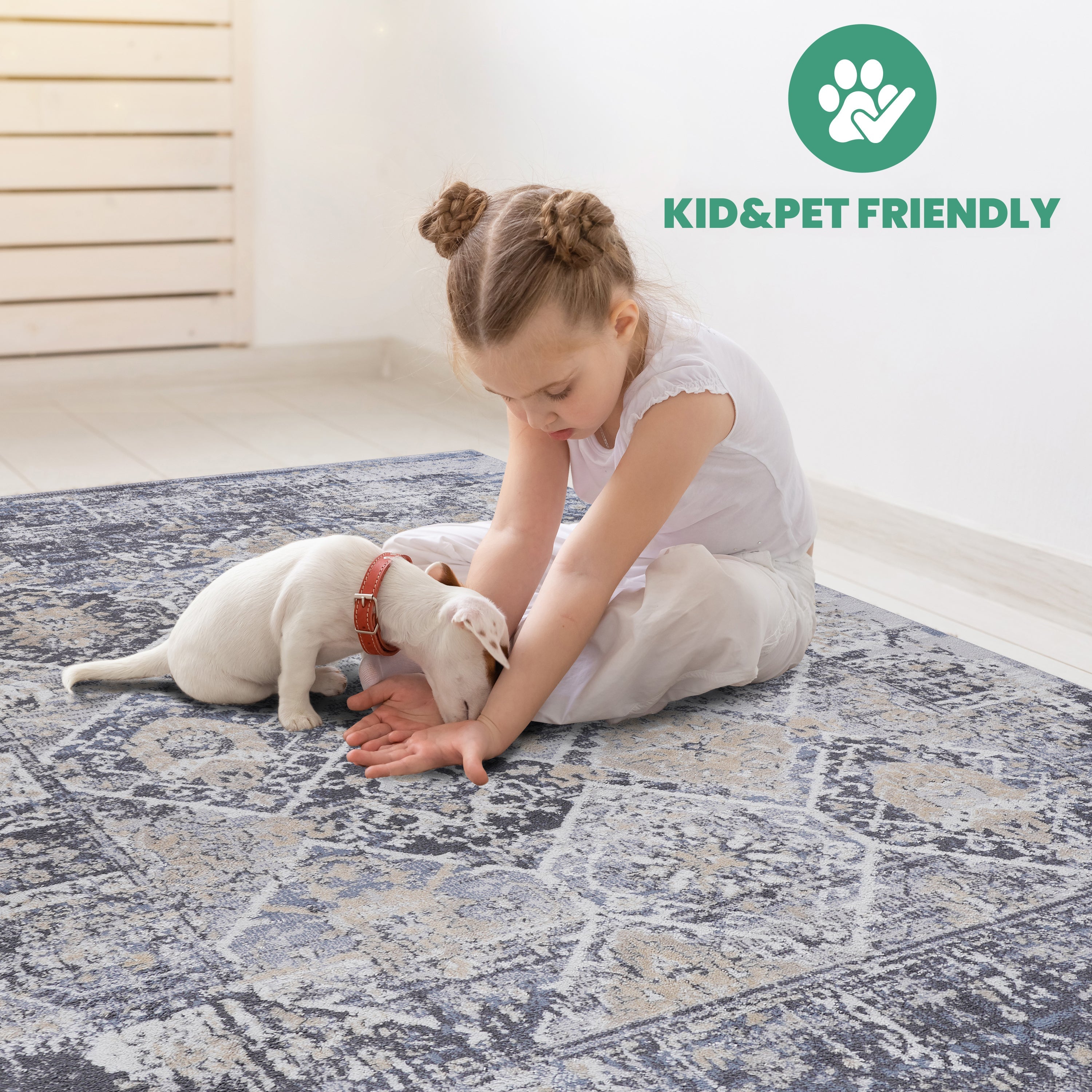 NAAR PAYAS Collection 5X7 Grey / Blue / Traditional Area Rug