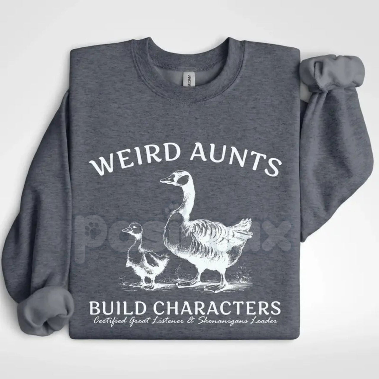 Weird Aunts Build Character Sweatshirt | Funny Cool Aunt Crewneck | Aesthetic Fun Aunt Jumper | Gift for Best Aunt Ever | Eccentric Auntie Graphic Shirt