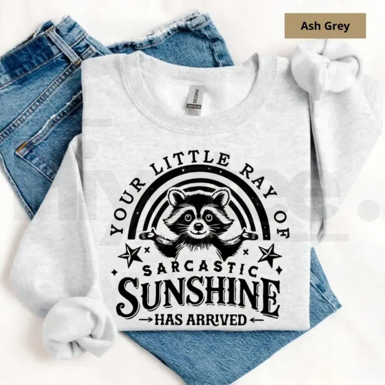 Your Little Ray Of Sarcastic Sunshine Sweatshirt: Funny Sassy Raccoon Crewneck