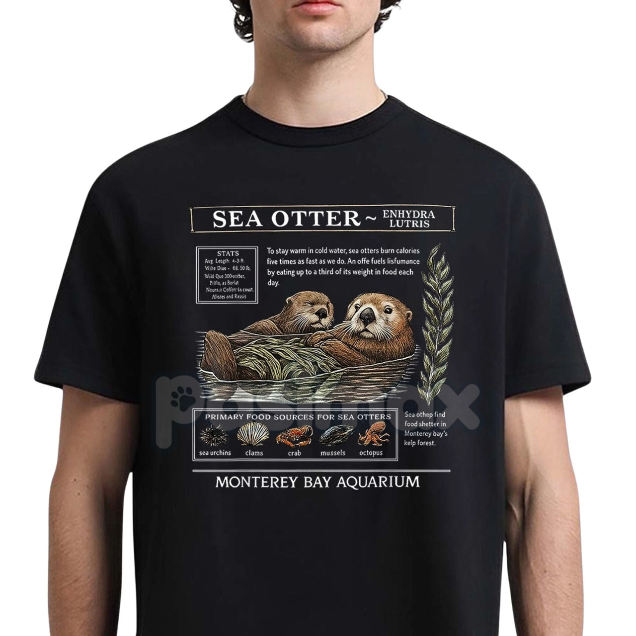 Sea Otter Monterey Bay Aquarium T-Shirt - Official Otter Lovers Tee, Souvenir Graphic Apparel