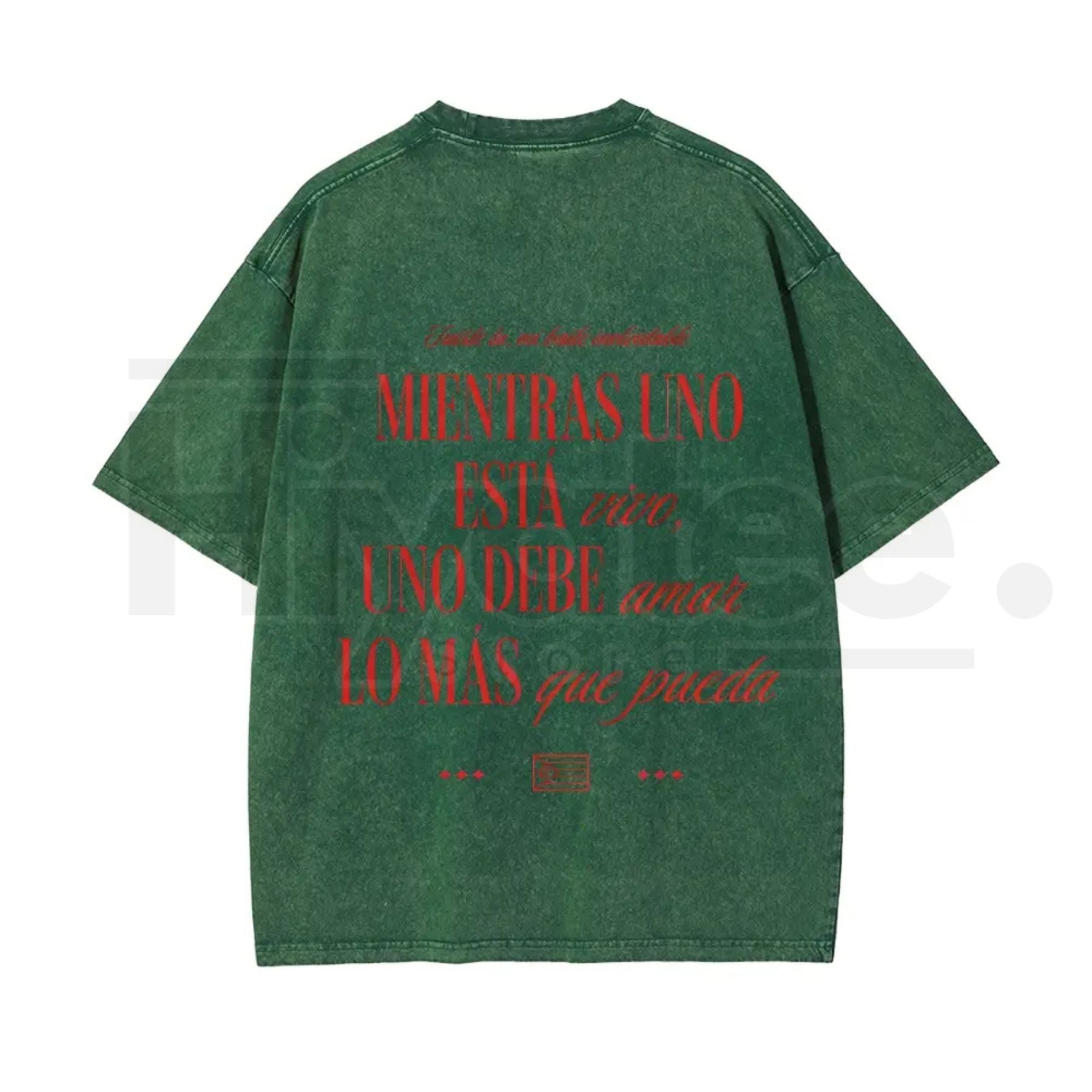 Seguimo Aqui Sapo Concho Vintage Washed Tee – DTMF Inspired Puerto Rican Reggaeton Streetwear