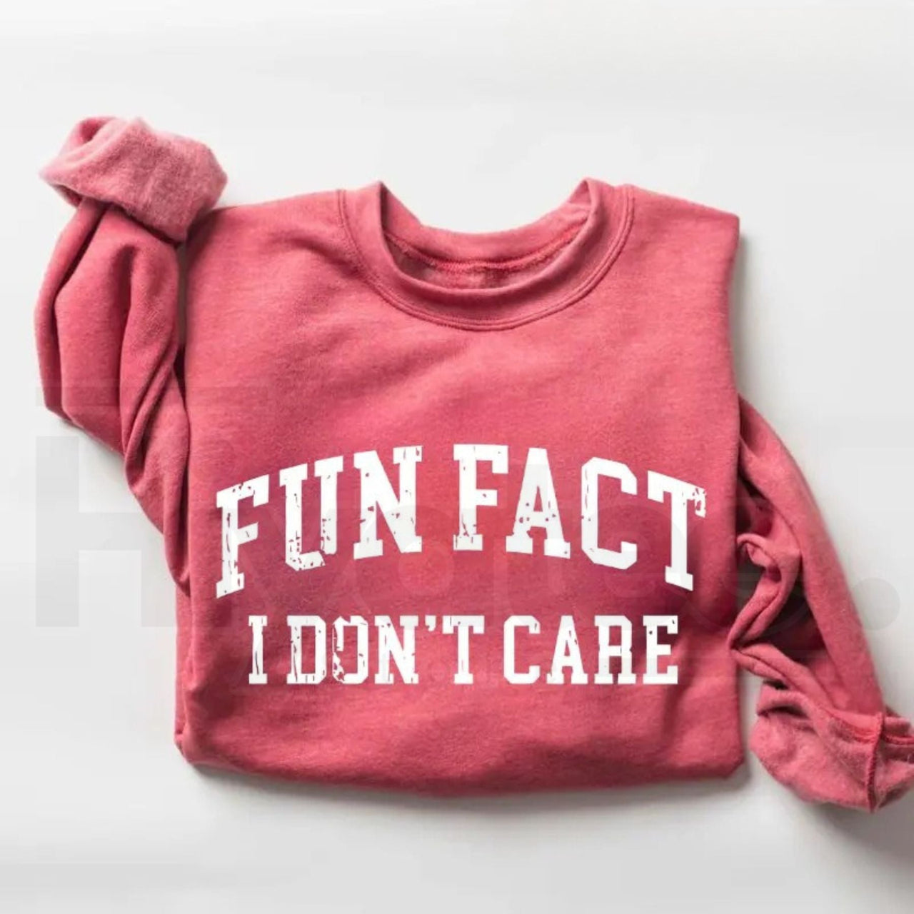 Fun Fact I Don't Care Sweatshirt: Funny Sarcastic College Style Crewneck