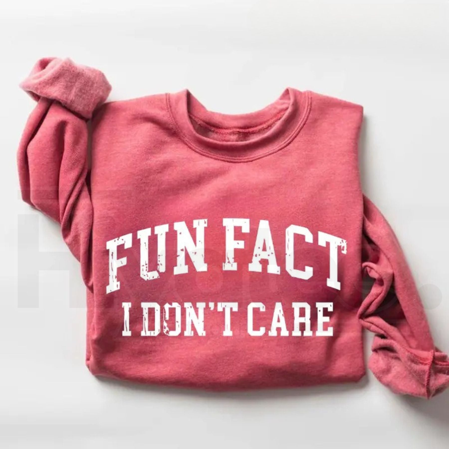 Fun Fact I Don't Care Sweatshirt: Funny Sarcastic College Style Crewneck