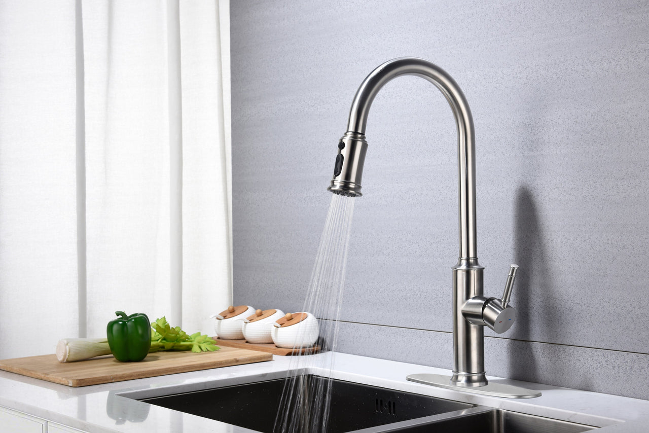 Kitchen Faucet with Pull Down Sprayer