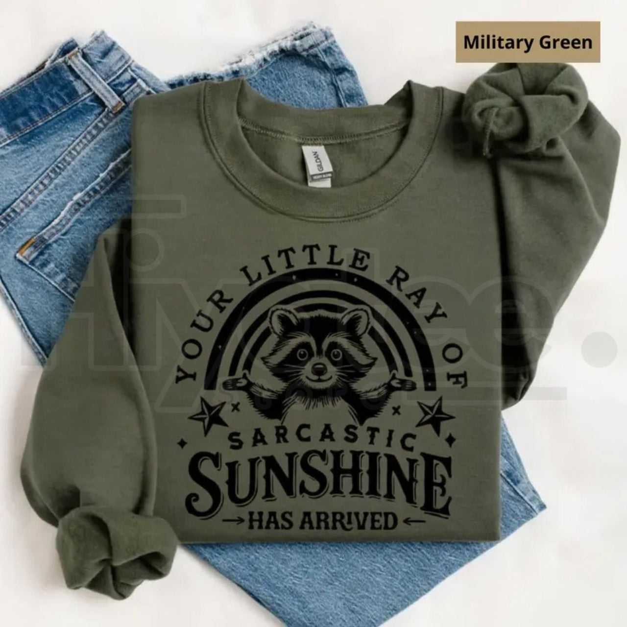 Your Little Ray Of Sarcastic Sunshine Sweatshirt: Funny Sassy Raccoon Crewneck