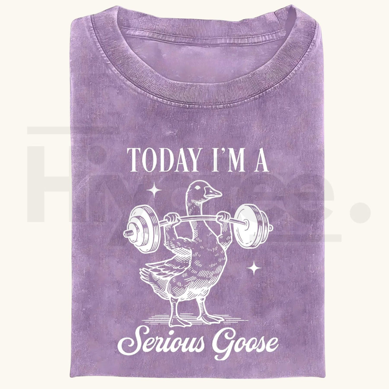 Funny Goose Gym Vintage Washed T-Shirt – Heavyweight 230g Graphic Oversized Tee