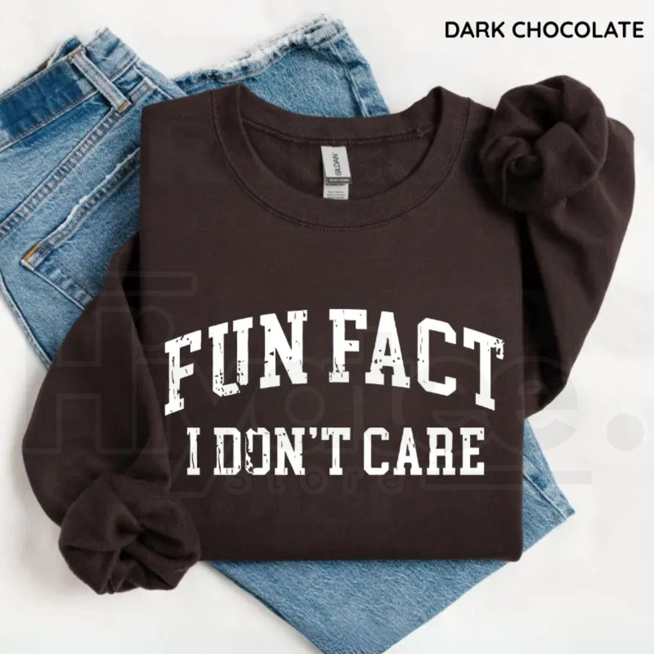 Fun Fact I Don't Care Sweatshirt: Funny Sarcastic College Style Crewneck