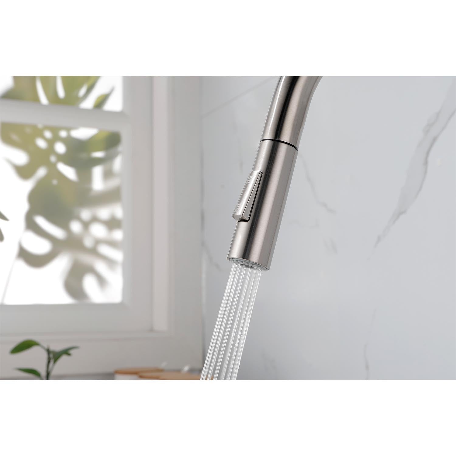Kitchen Faucet with Pull Down Sprayer
