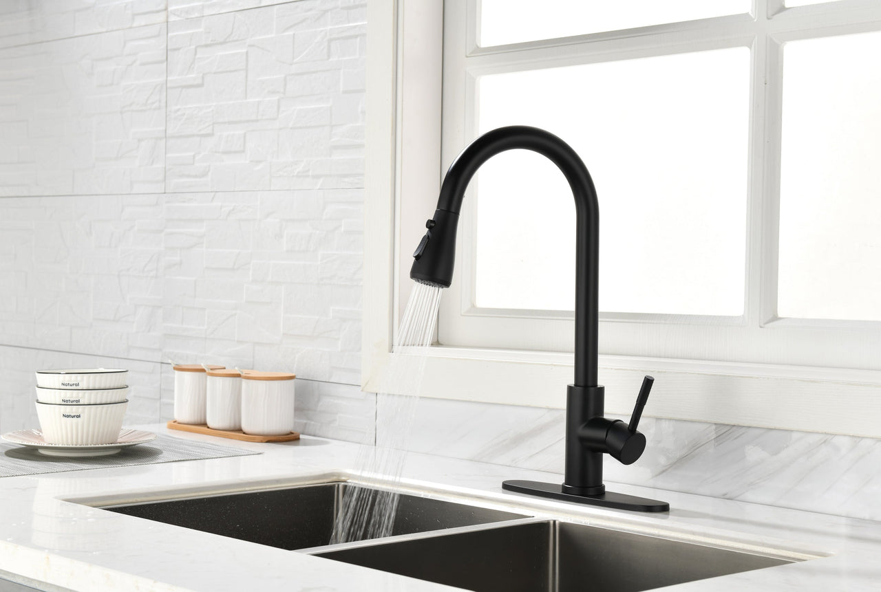 Kitchen Faucet with Pull Out Spraye