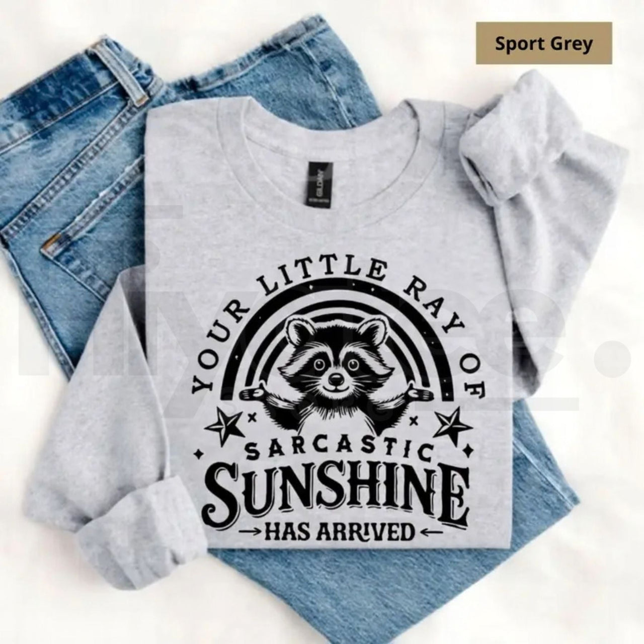 Your Little Ray Of Sarcastic Sunshine Sweatshirt: Funny Sassy Raccoon Crewneck