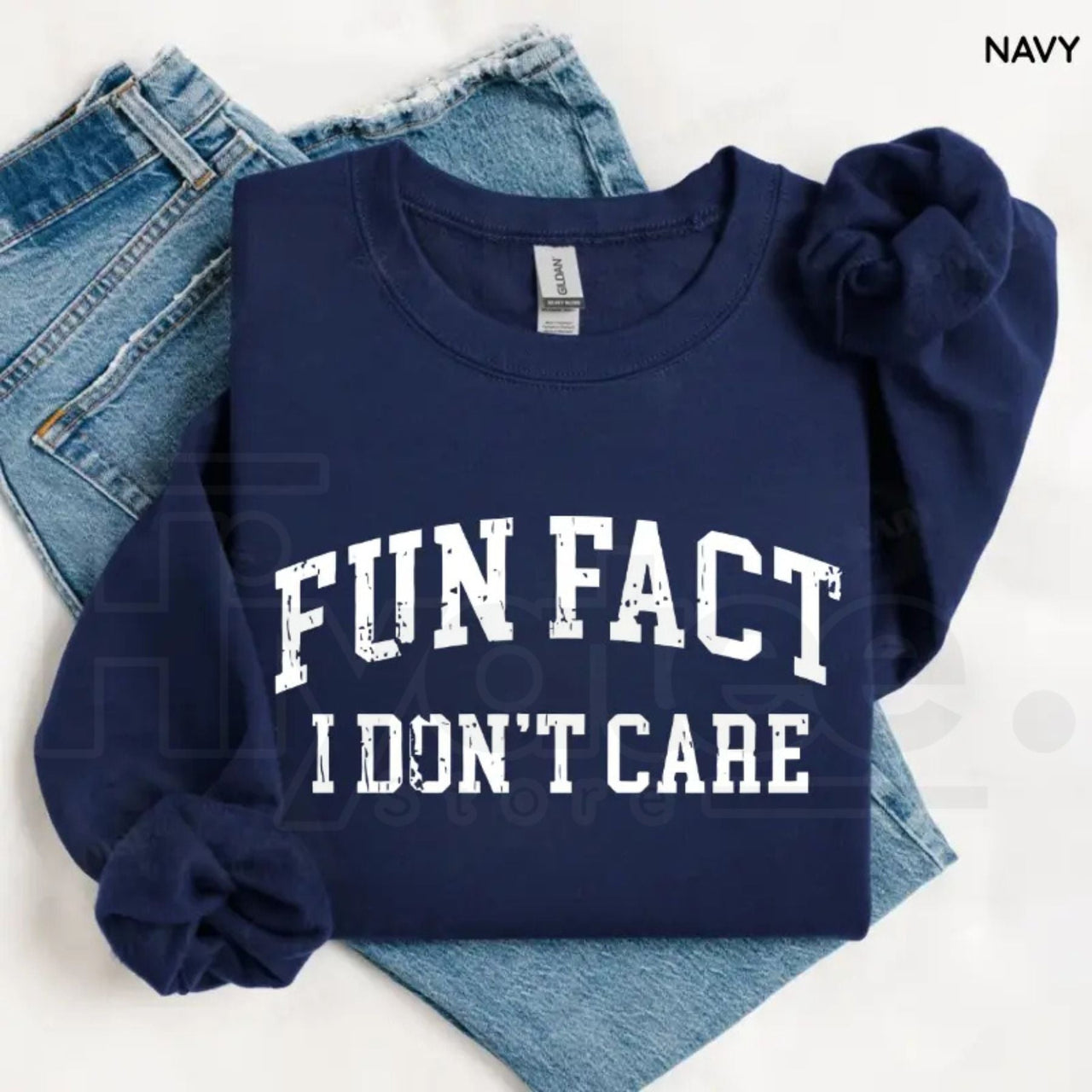 Fun Fact I Don't Care Sweatshirt: Funny Sarcastic College Style Crewneck