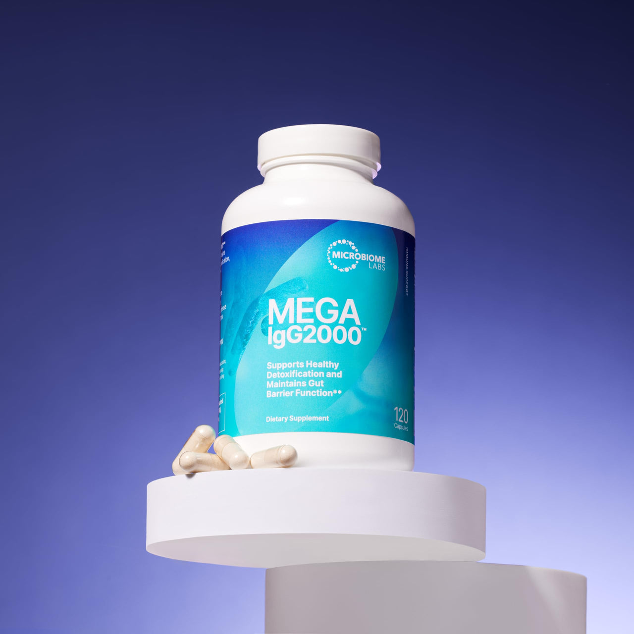 MegaIgG2000