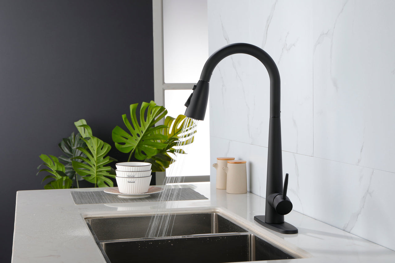 Single Handle Stainless Steel Kitchen Sink Faucet with Pull Down Sprayer