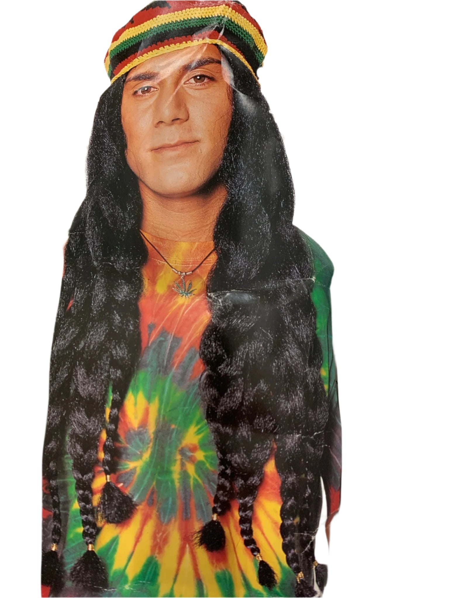 Rasta Man Wig