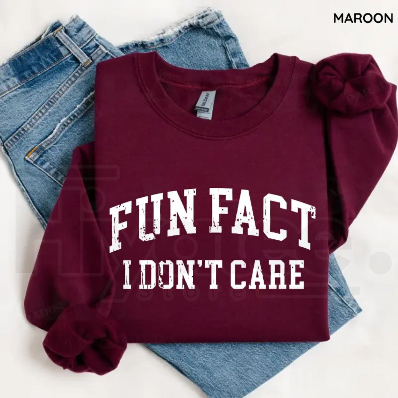 Fun Fact I Don't Care Sweatshirt: Funny Sarcastic College Style Crewneck
