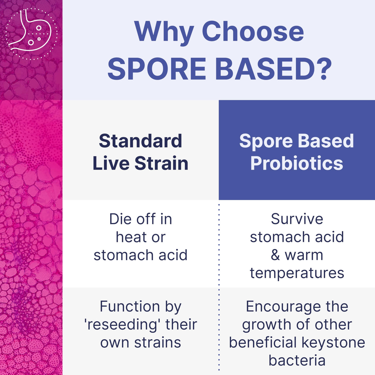 Spore-Based Probiotic for Women & Men | Shelf-Stable Digestive Support | Travel-Friendly