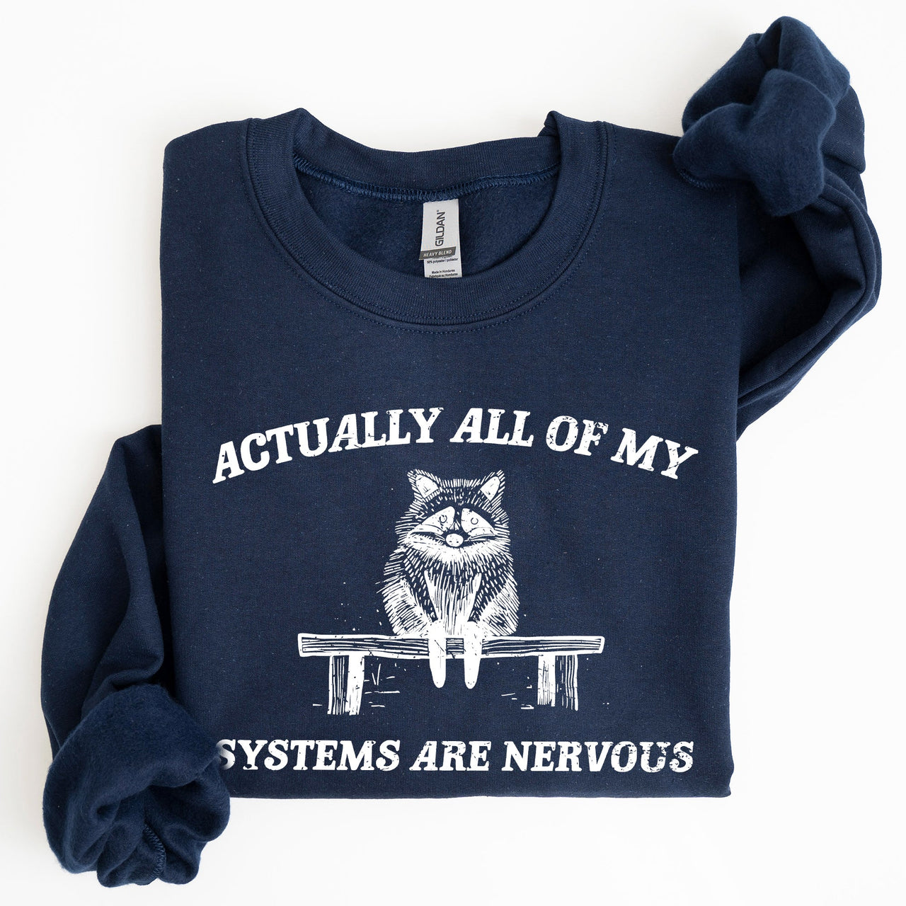 All Of My Systems Are Nervous Anxiety Raccoon Mental Health Expression Sweatshirt