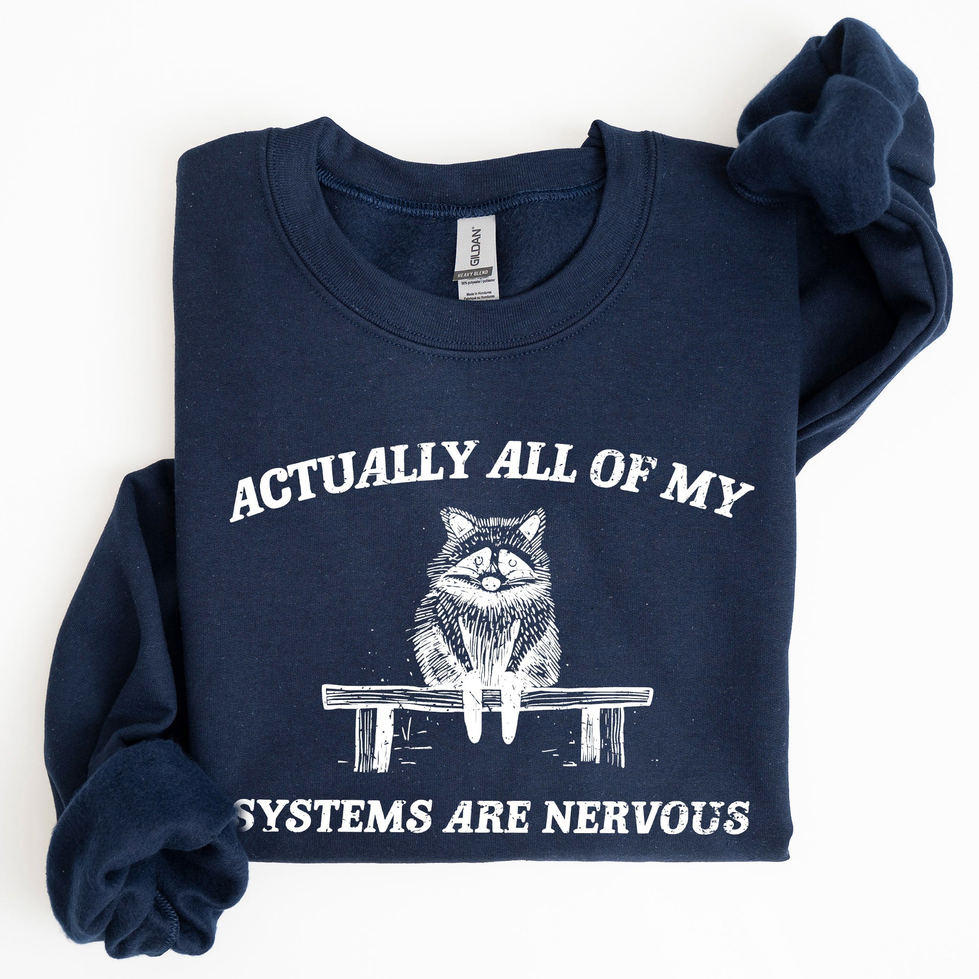 All Of My Systems Are Nervous Anxiety Raccoon Mental Health Expression Sweatshirt