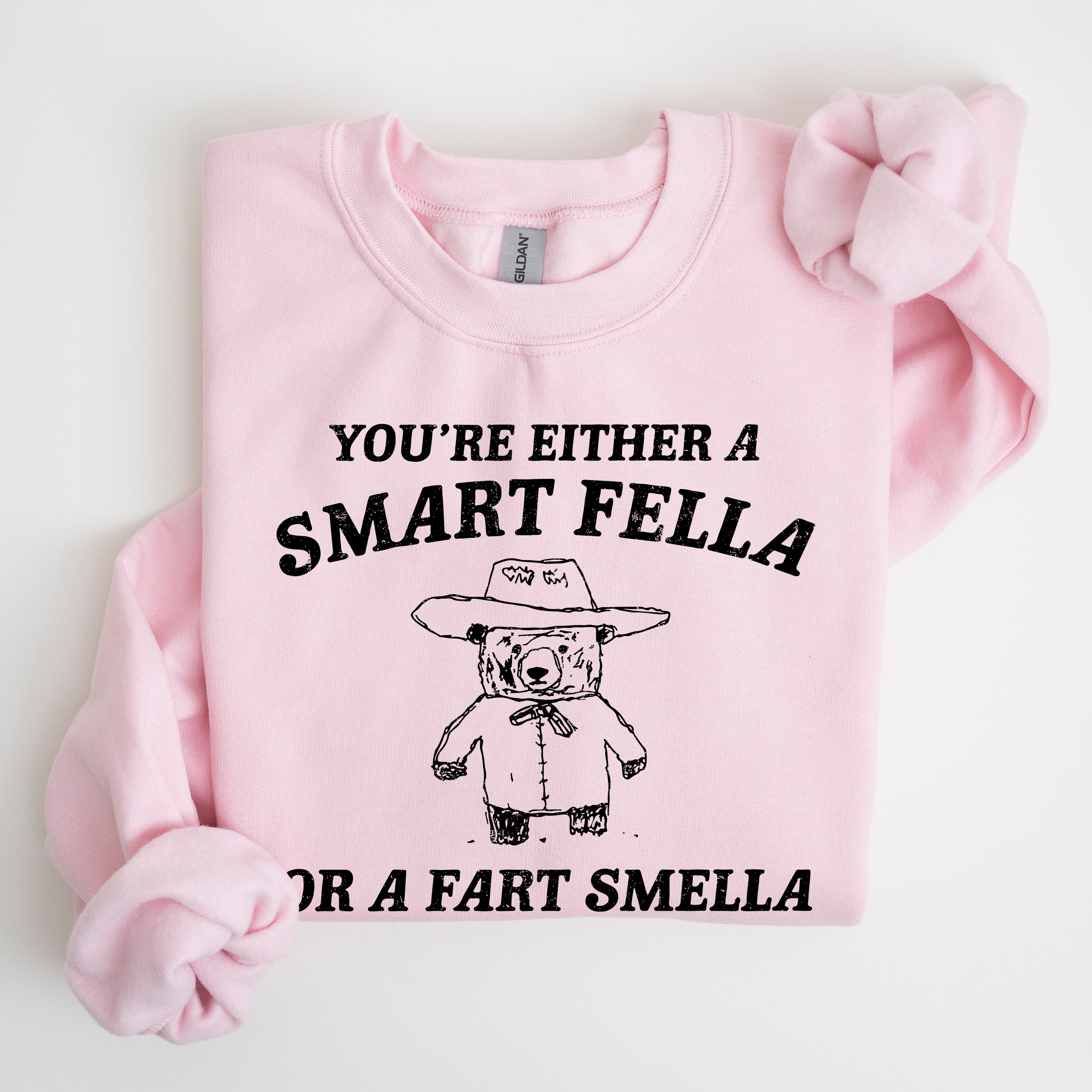 You're Either a Smart Fella Or a Fart Smella Bear Meme Graphic Cozy Fleece Lined Sweatshirt