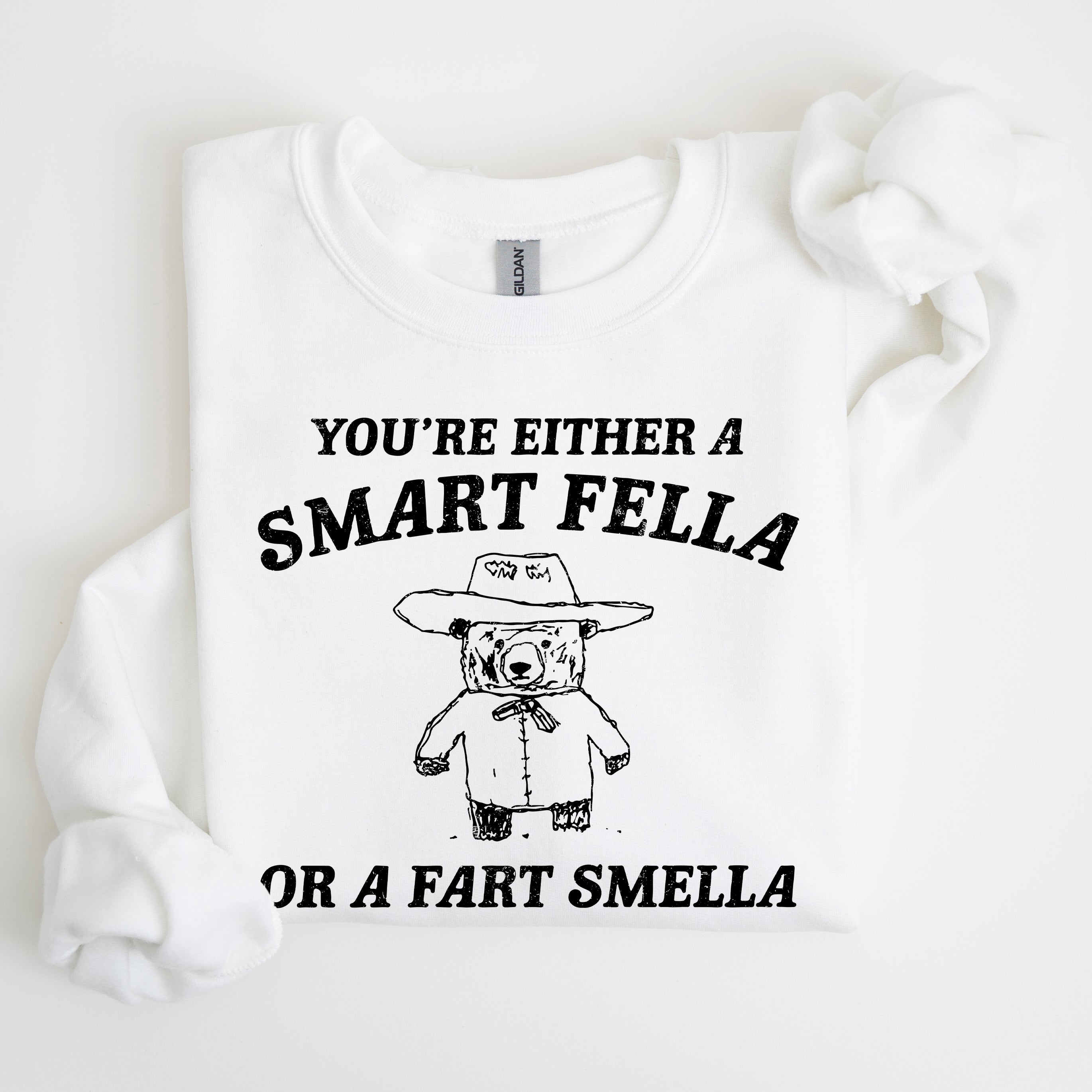 You're Either a Smart Fella Or a Fart Smella Bear Meme Graphic Cozy Fleece Lined Sweatshirt