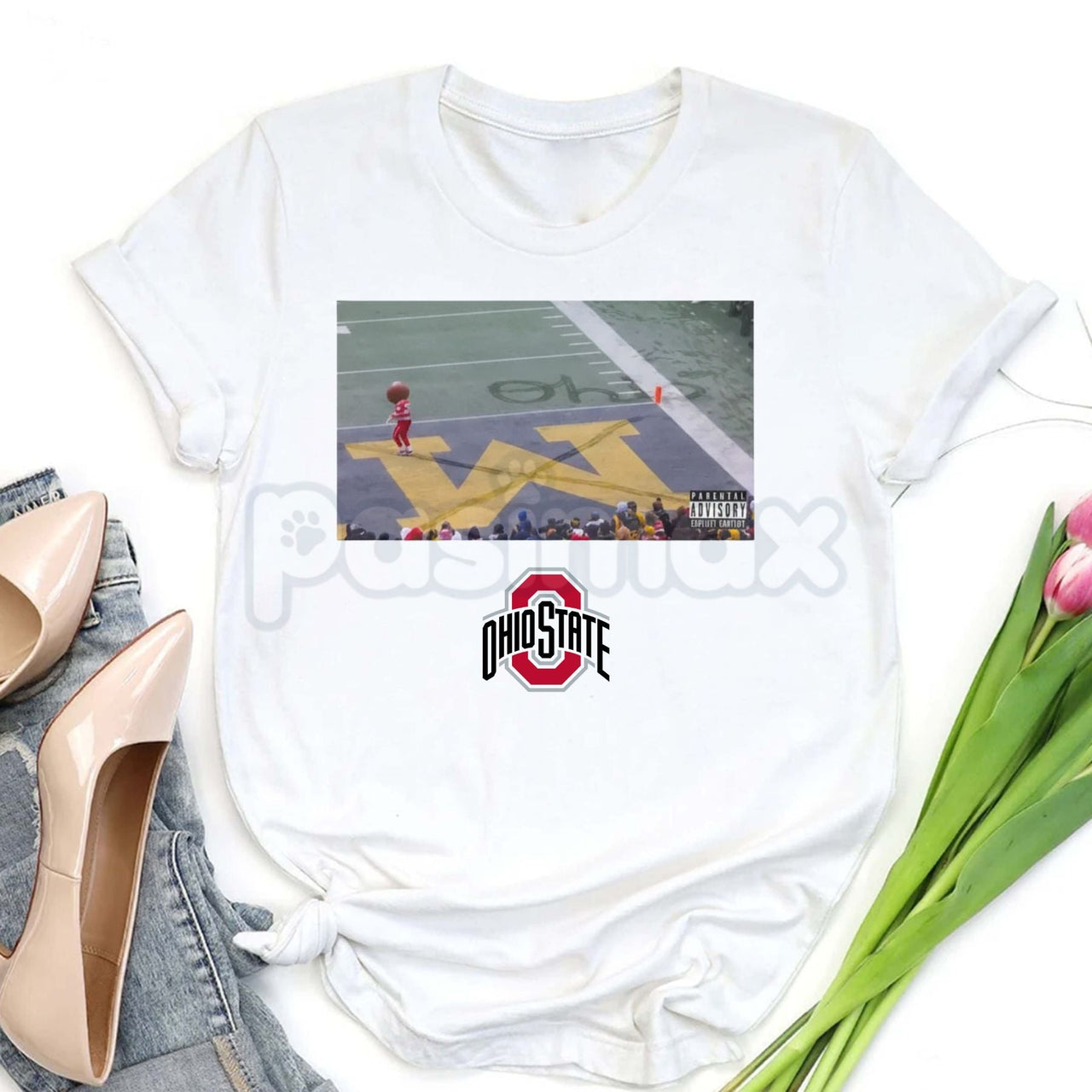 Buckeye Ohio Snow T-Shirt - Ohio State Buckeyes Winter Fan Tee, Midwest Cold Weather Apparel, OSU Seasonal Graphic Shirt
