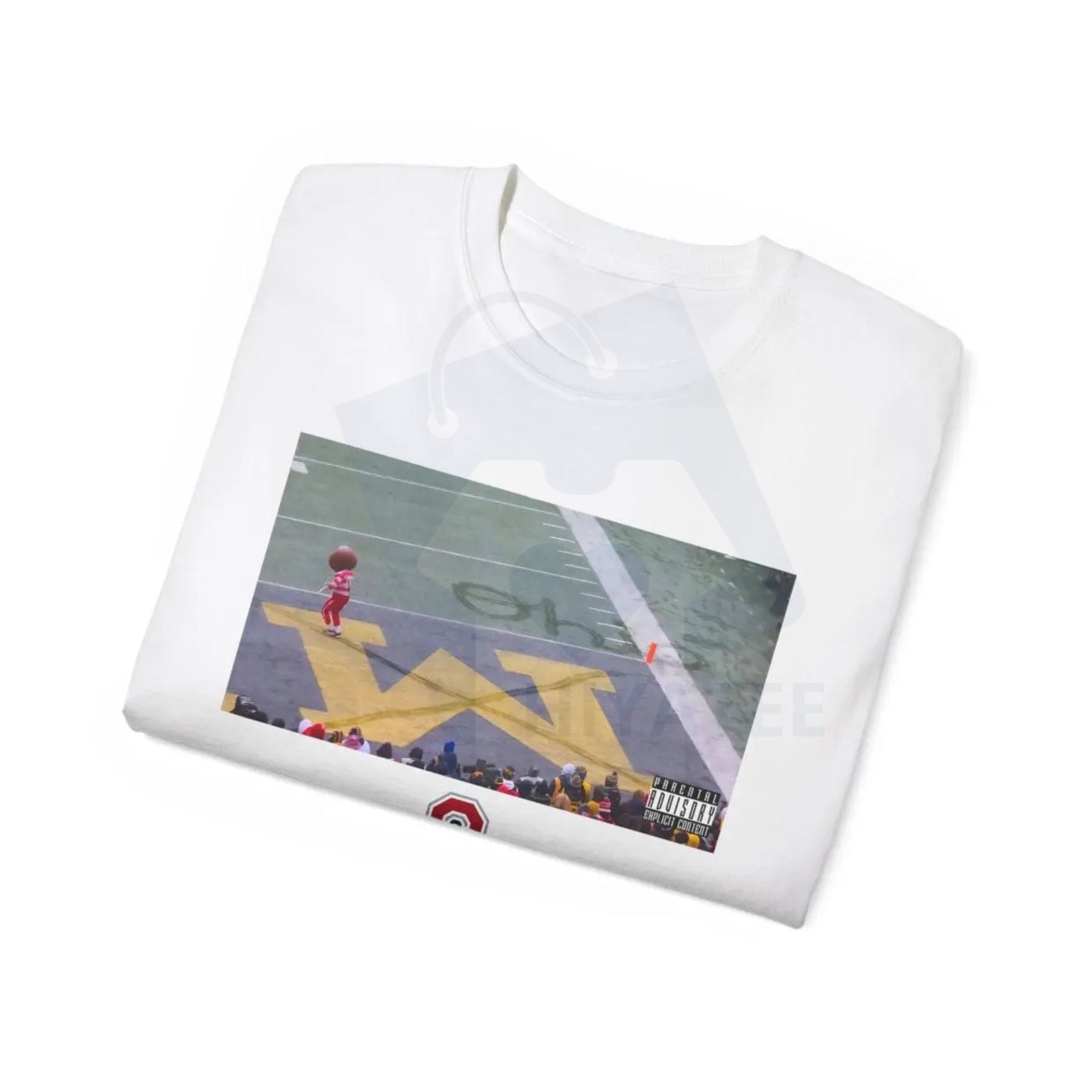 Buckeye Ohio Snow T-Shirt – Football Game Day Gift for Fan, Winter Gameday Tee, Ohio Pride Top
