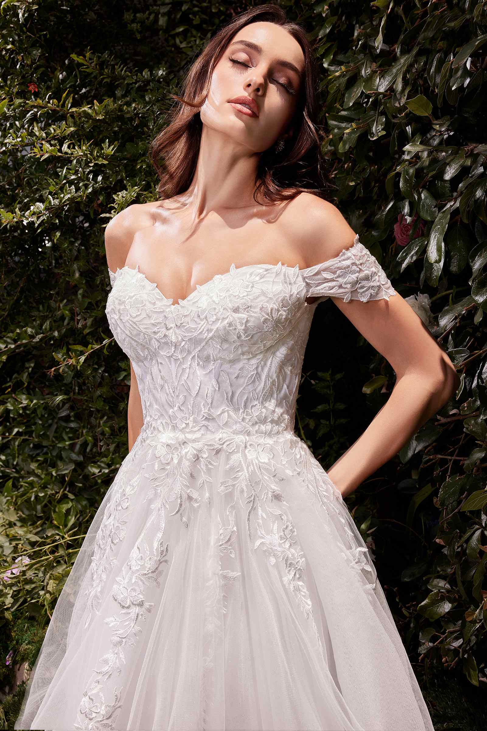 Ladivine C159W Off The Shoulder A-Line Lace & Tulle Wedding Dress