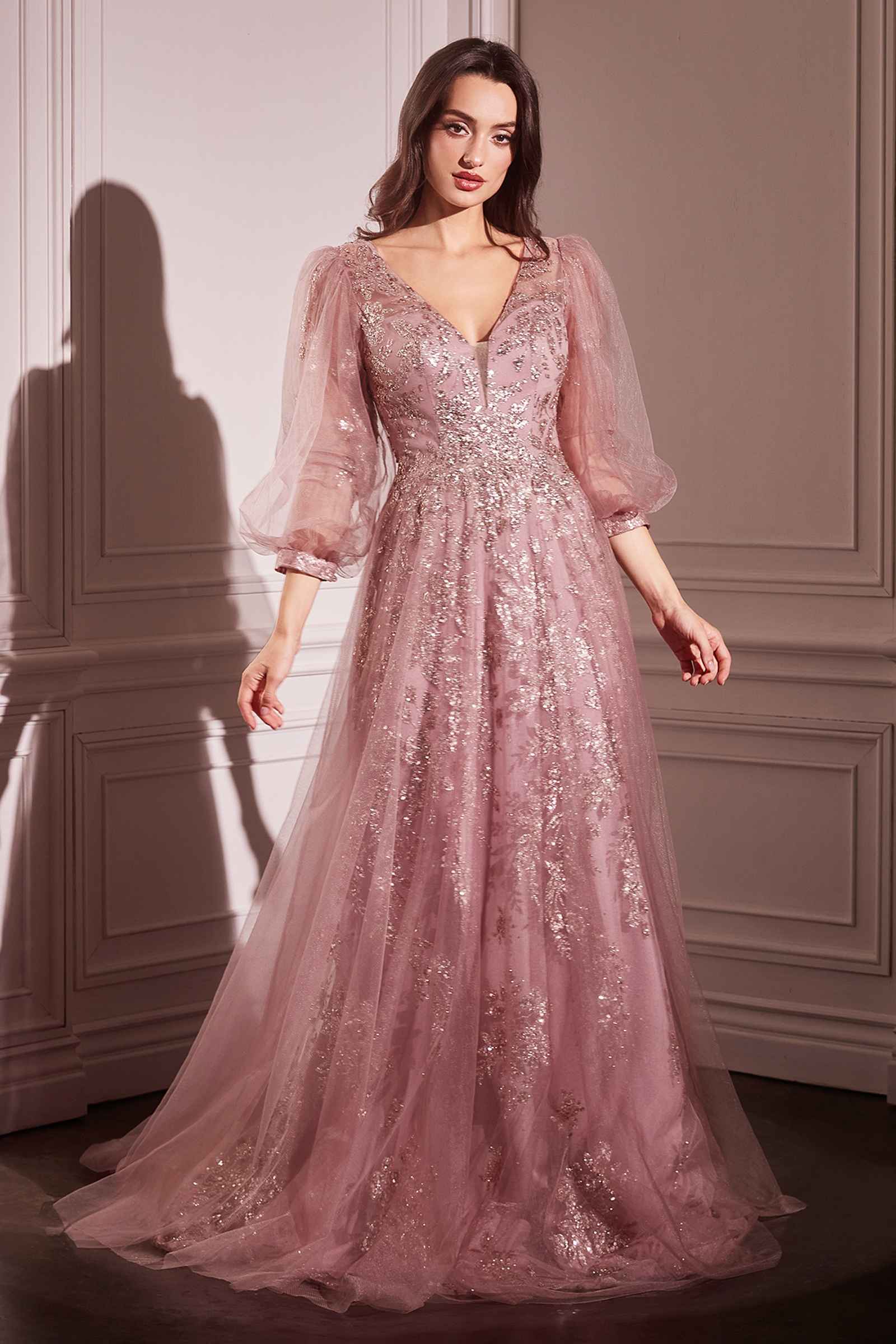 Ladivine CD0102 Dress Long Sleeve Layered Tulle A-Line Gown