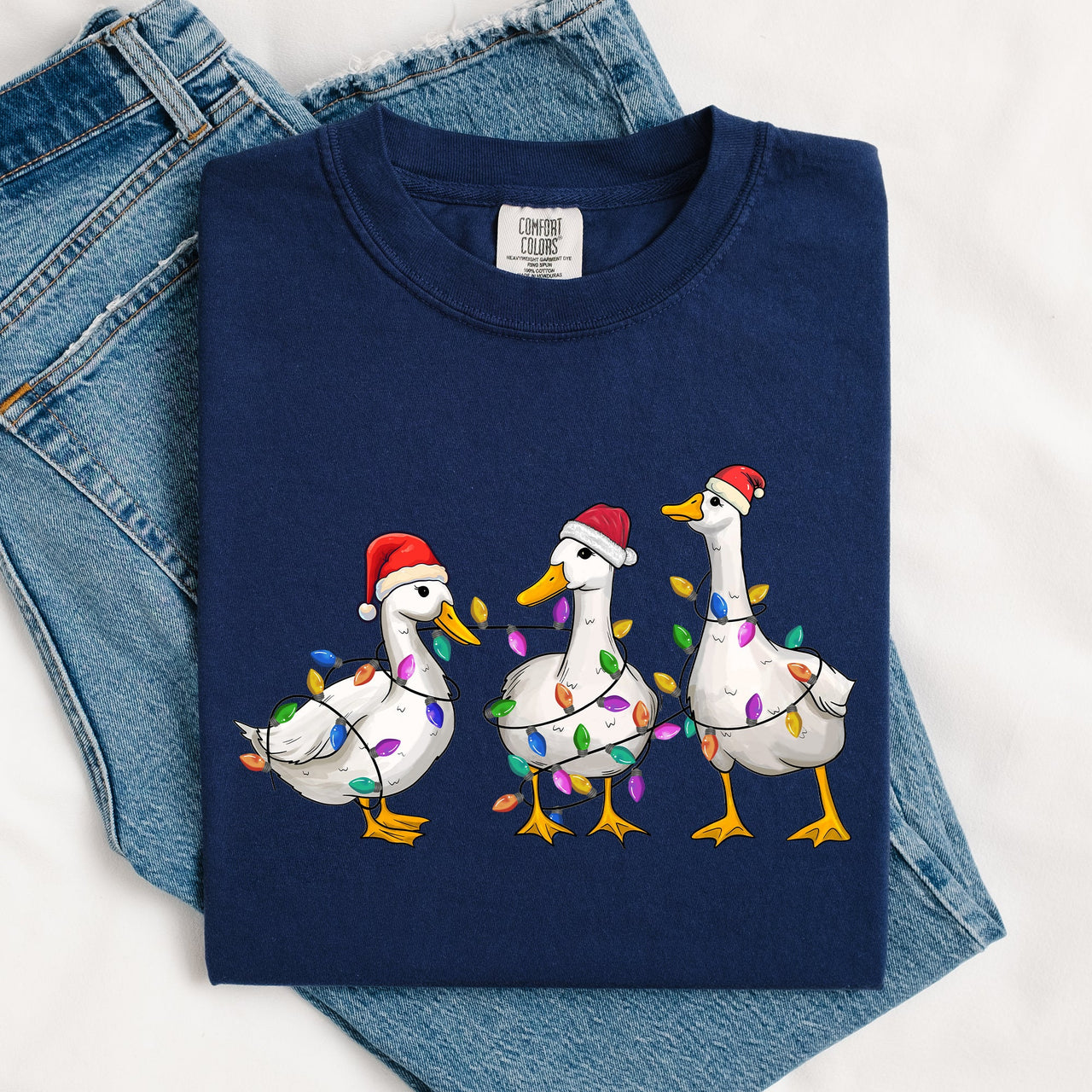 Christmas Ducks, Farm Animals, Santa, Winter, Snow, Xmas Scene Comfort Colors Tee