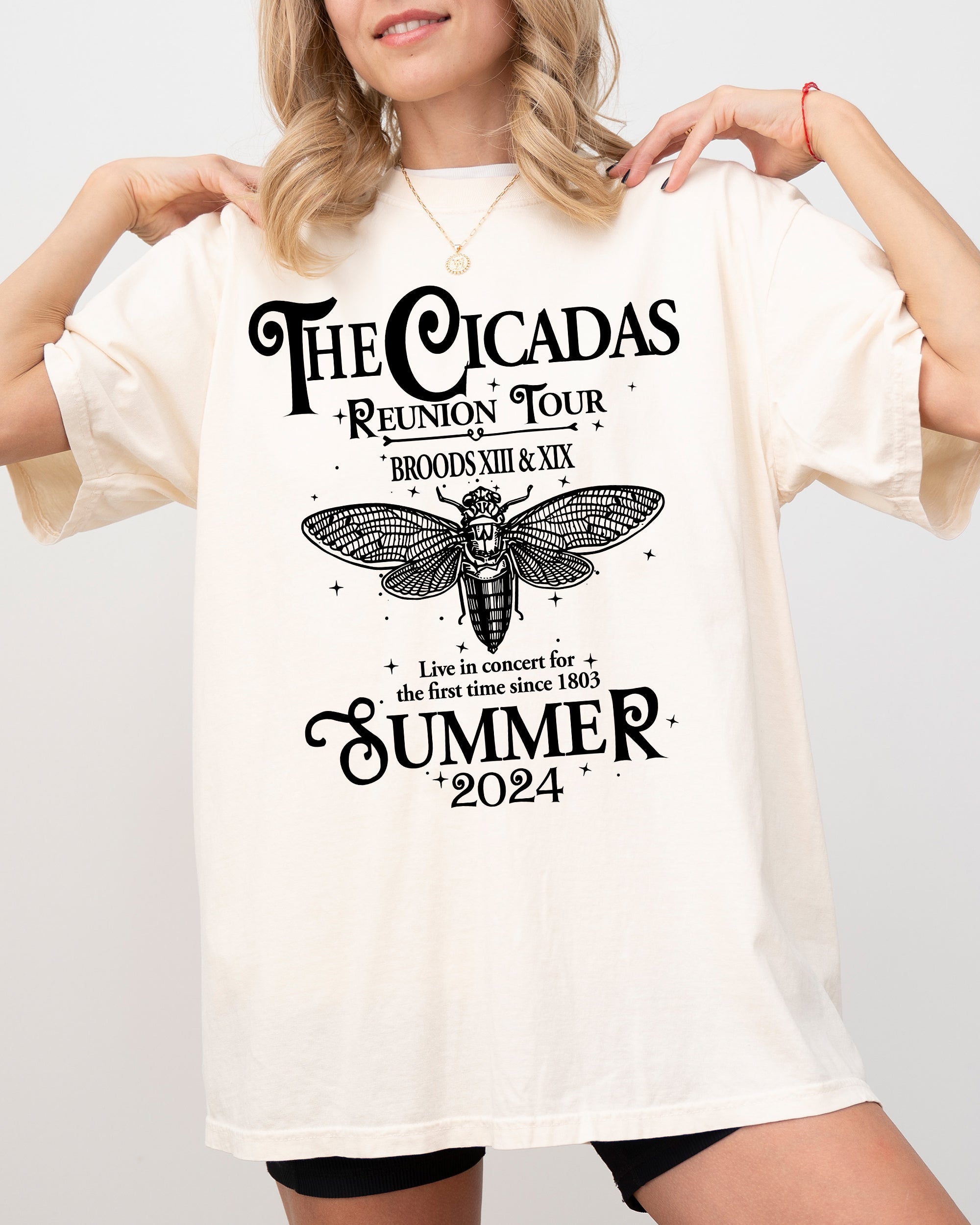 Cicadas Reunion Tour Summer 2024 Nature Lover Double Brood XIII XIX Outdoors Concert Shirt Comfort Colors Tee
