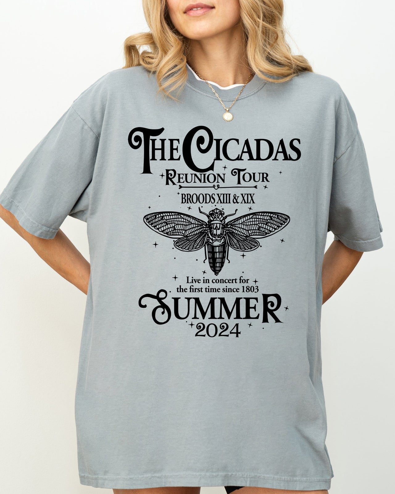 Cicadas Reunion Tour Summer 2024 Nature Lover Double Brood XIII XIX Outdoors Concert Shirt Comfort Colors Tee
